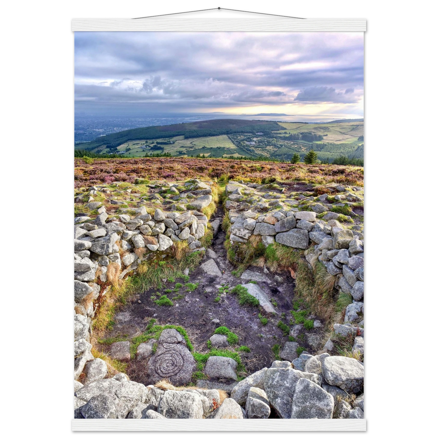 e004a918-e04b-4cb3-99f6-f94041c70075