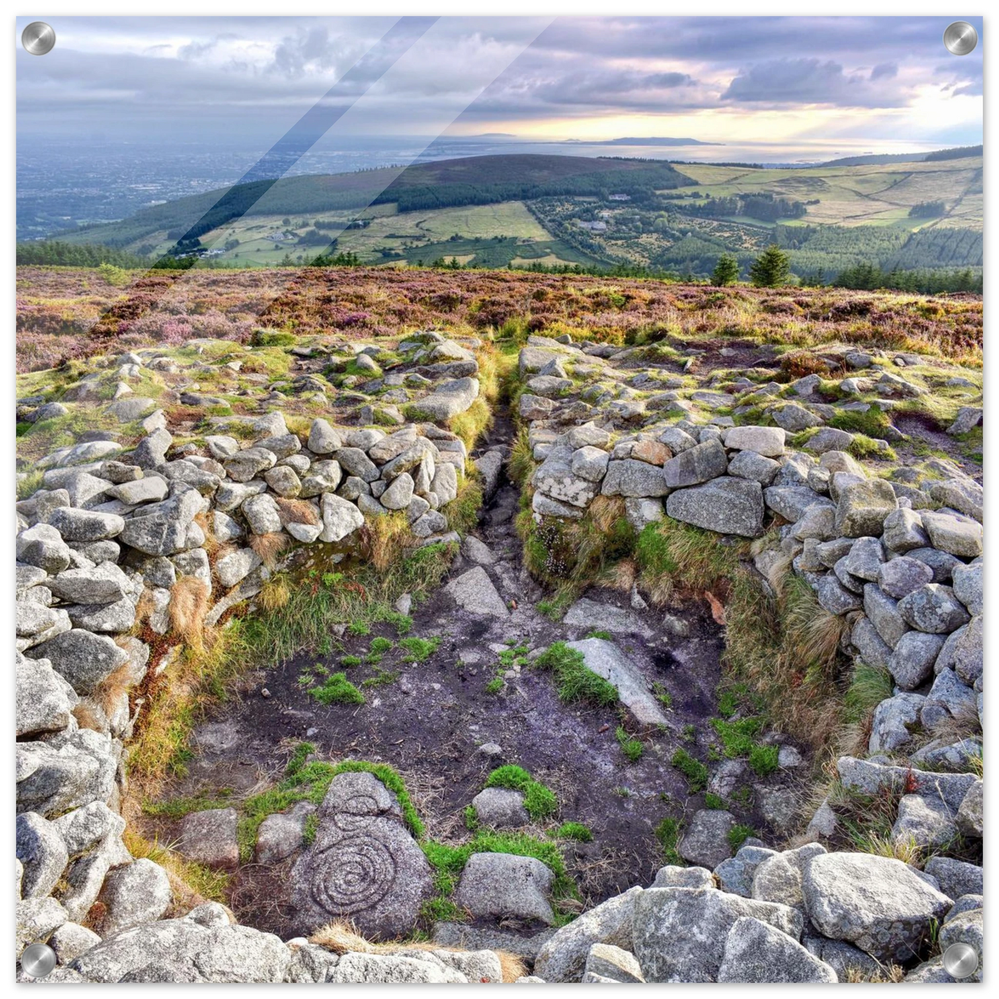 e0067815-90d3-4c08-b68c-5f7a1e205554