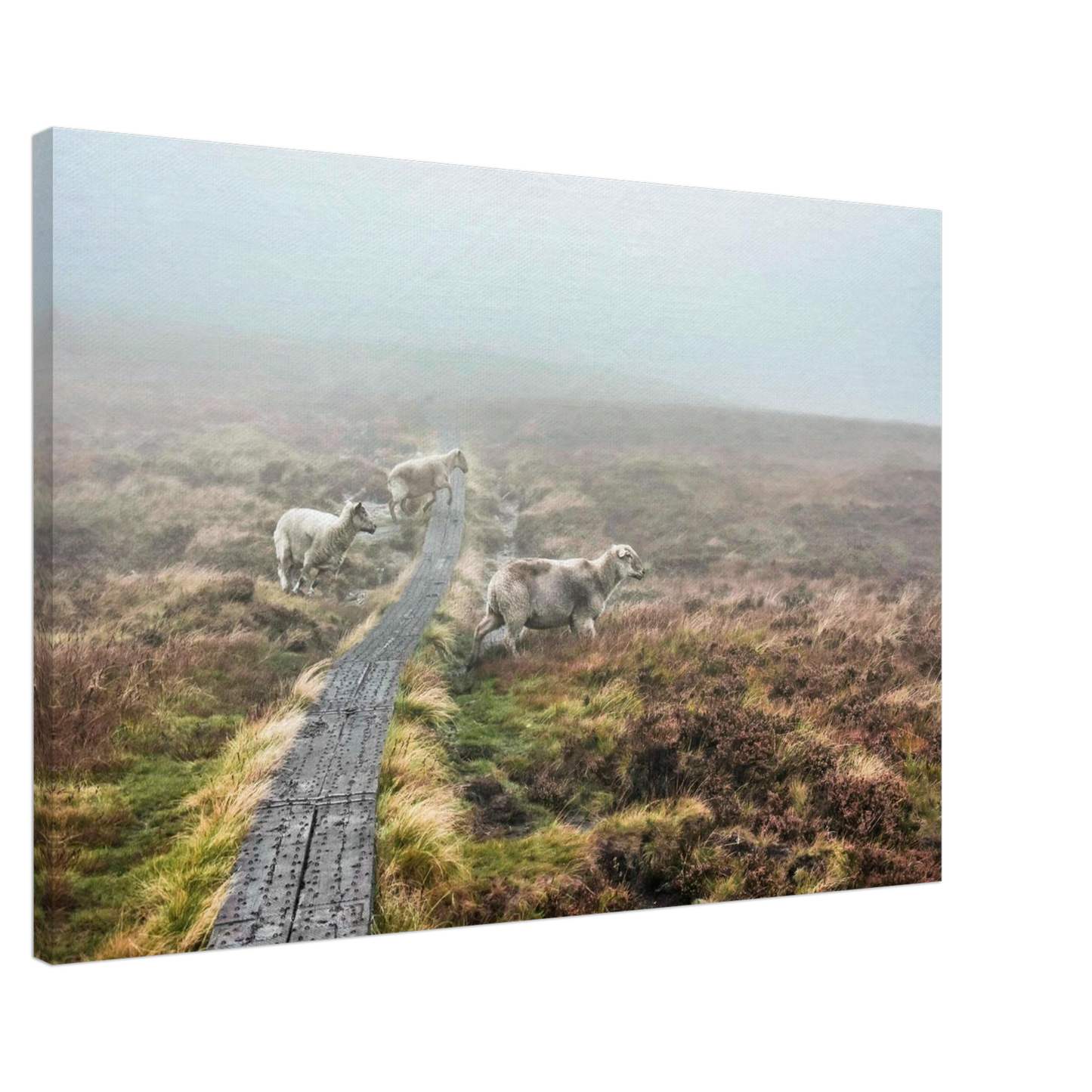 e008b764-0162-4dc0-a225-8775a531c7b3