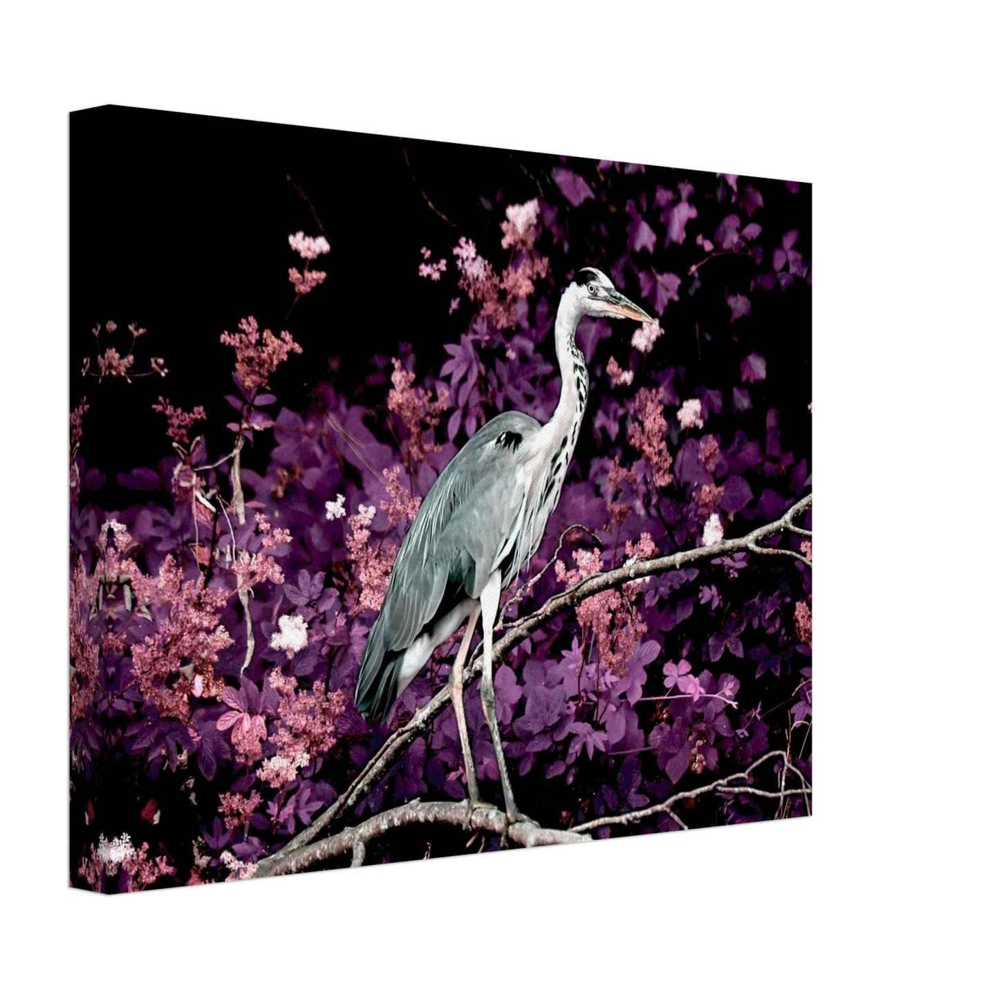 e010e429-ebc3-43c0-aa9a-085824bb98d3