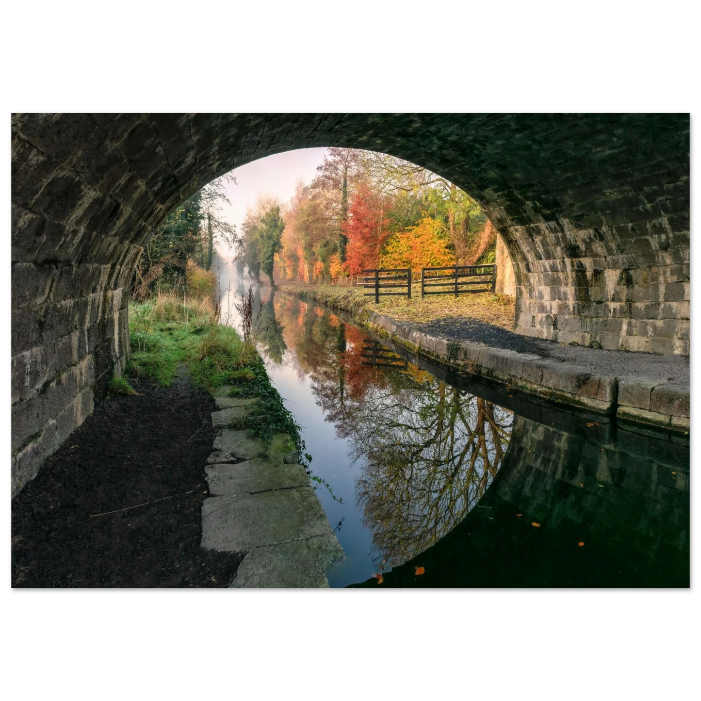 e0130c8c-fa31-40c7-a231-fcd07a88cbba