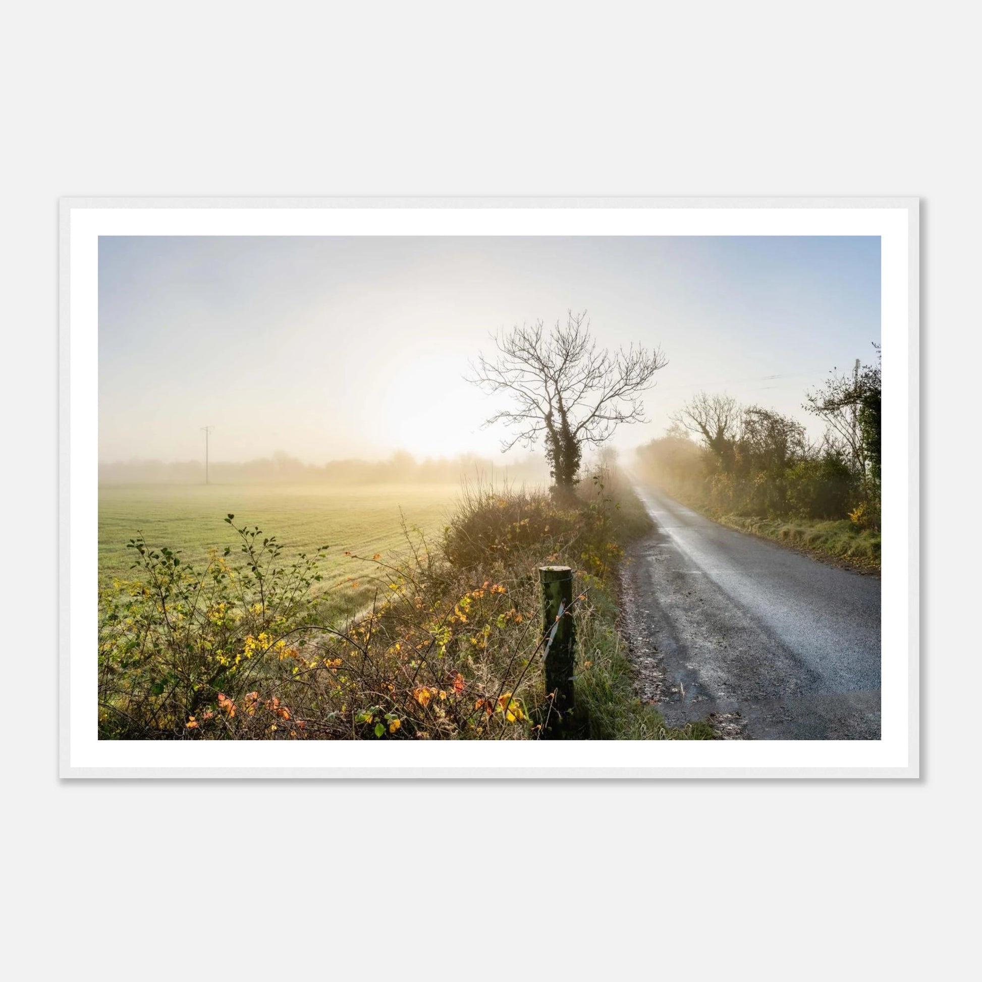 e0167f79-6c96-4025-87db-118a4b21c717