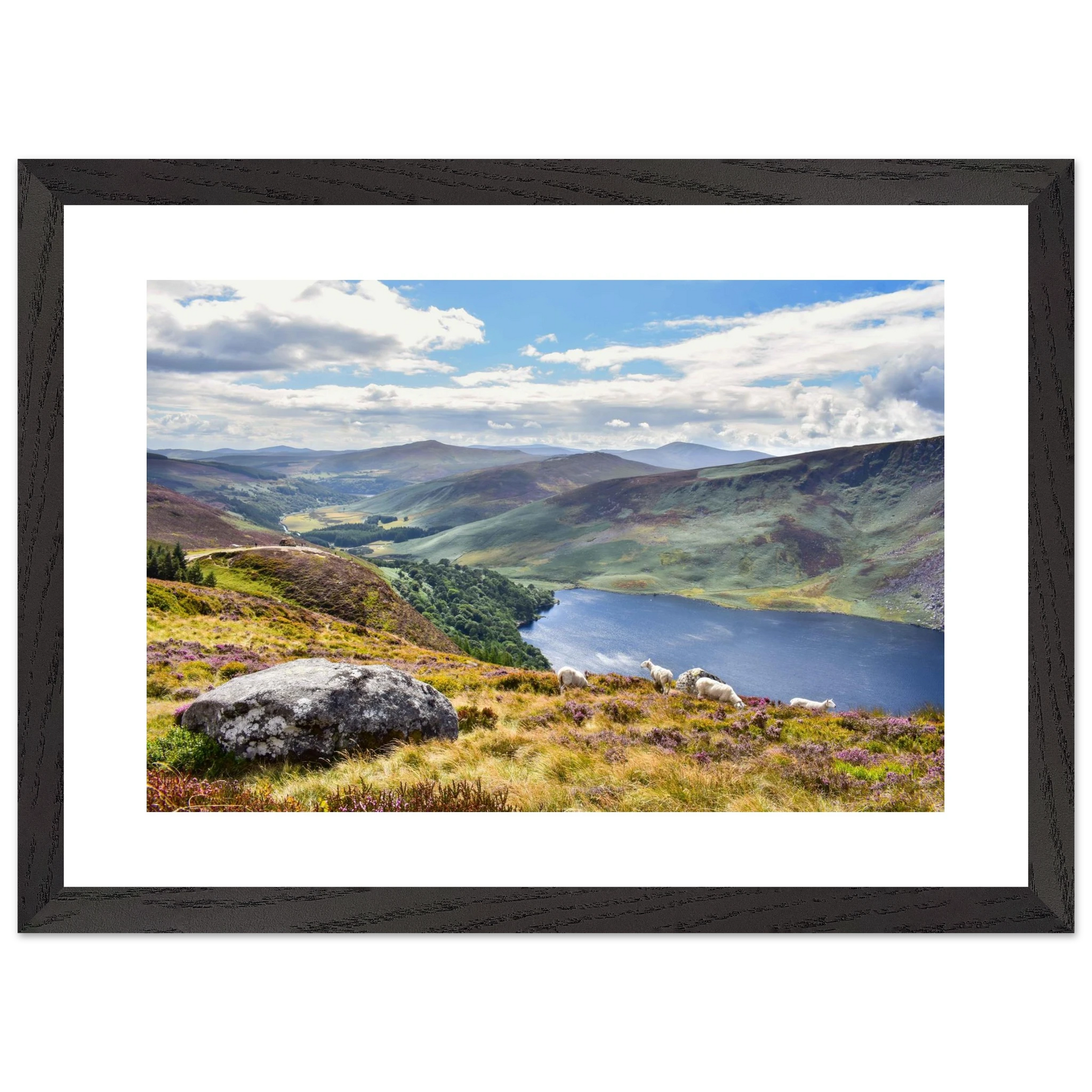 e02a002a-36ff-403a-8077-2927ba44076e