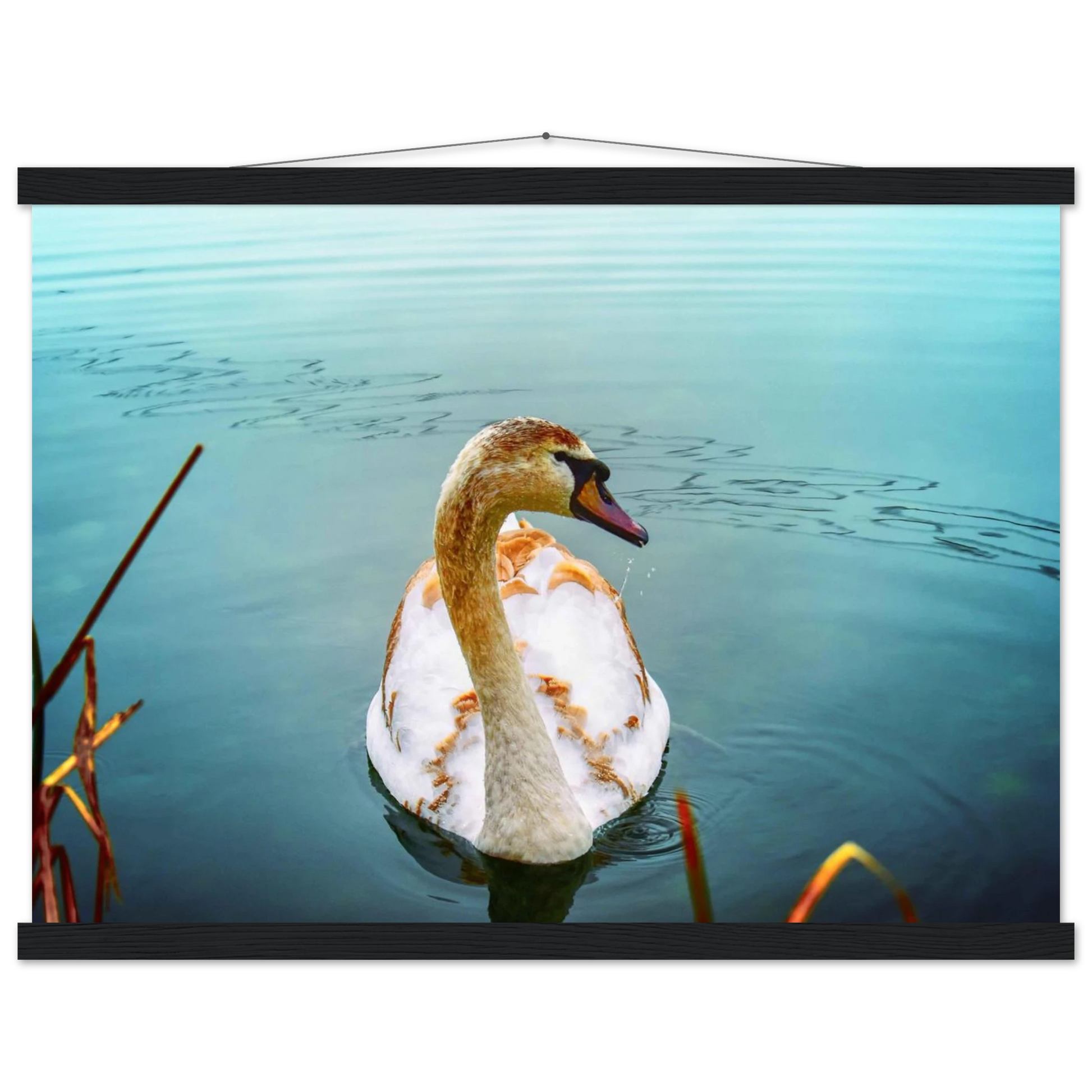 e071ae1e-3077-4bd3-9cc4-5252ac618364