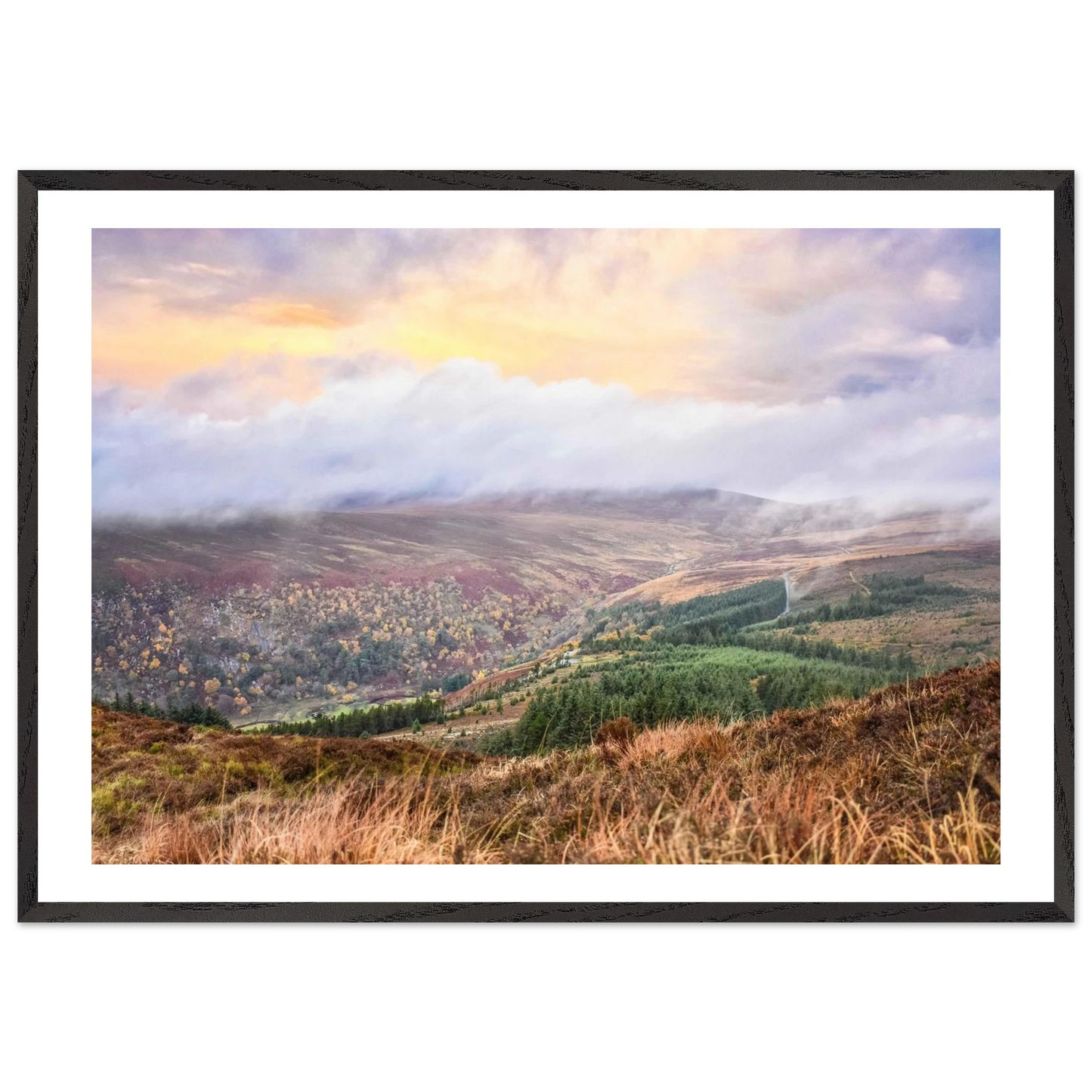 e09636ae-f3d8-49d9-9024-780e41128399