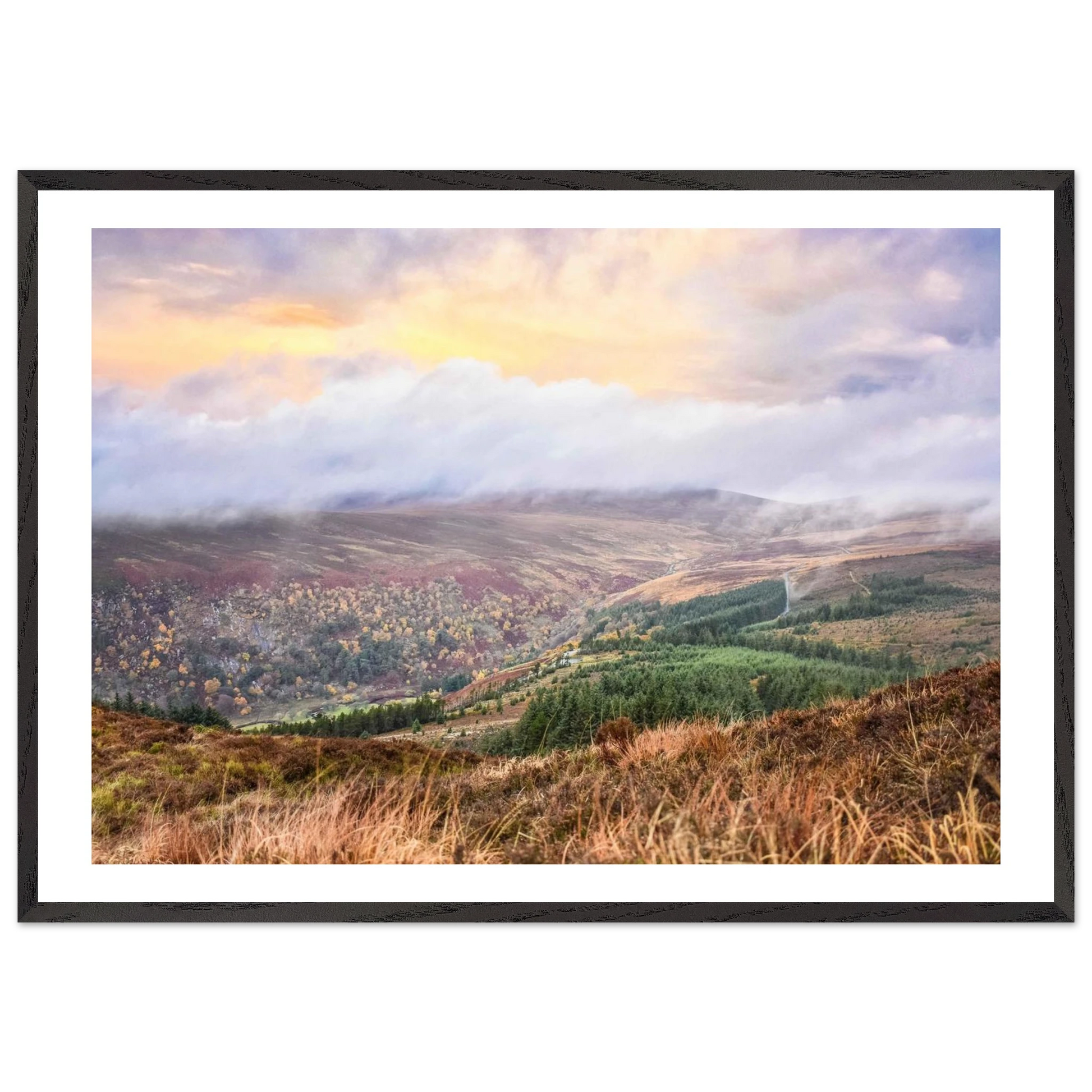 e09636ae-f3d8-49d9-9024-780e41128399