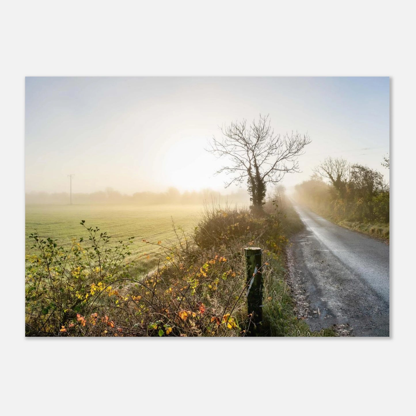 e0d13a5c-7f82-4d31-a1e4-a8568e53fed6