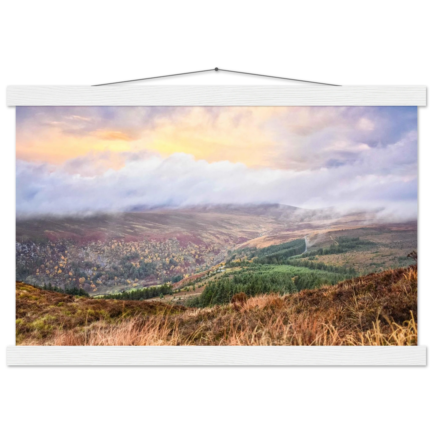 e161d1ef-9c4f-4a4e-8dd8-9aee696931a7