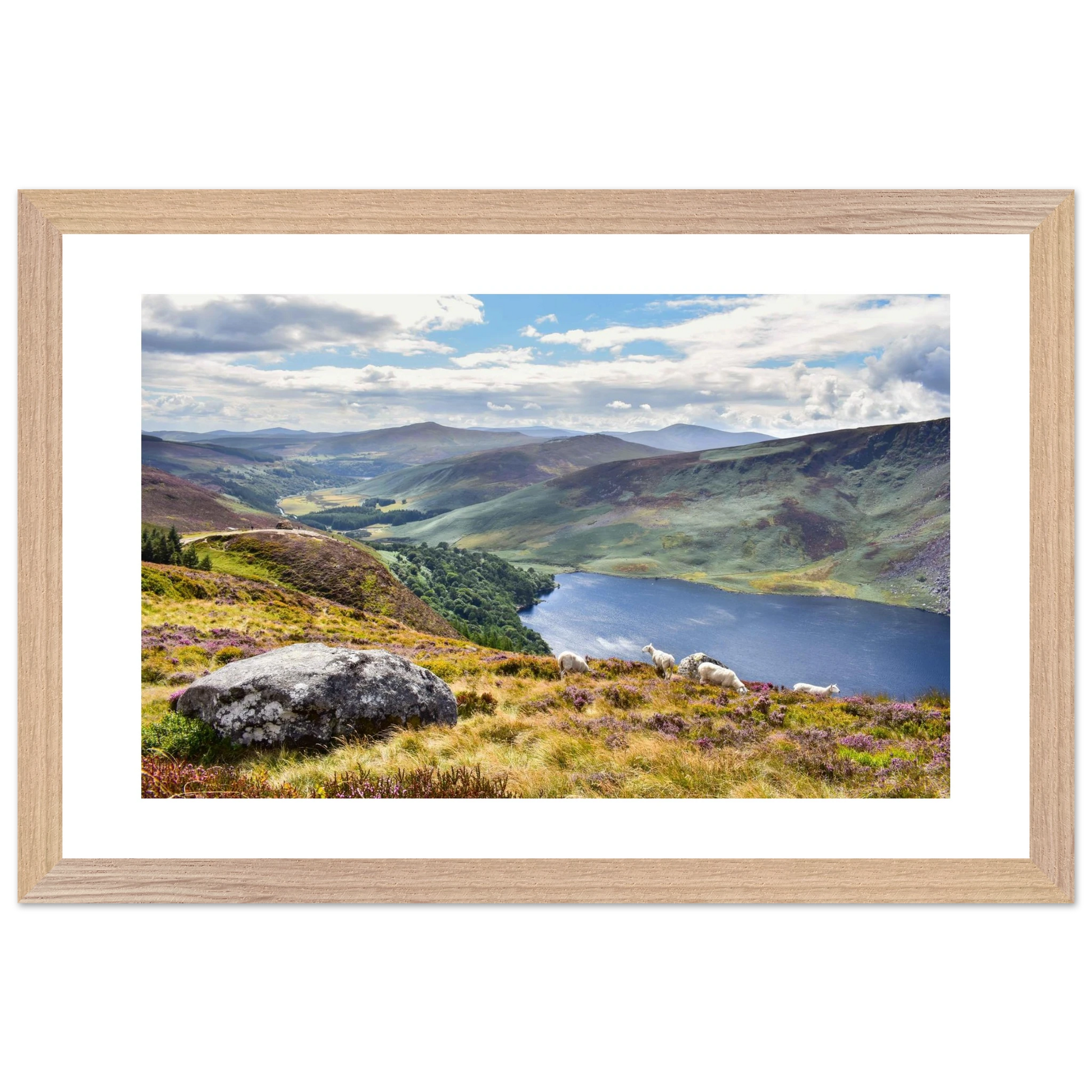 e17122e9-4e65-49fc-90b7-8667f705f0f4