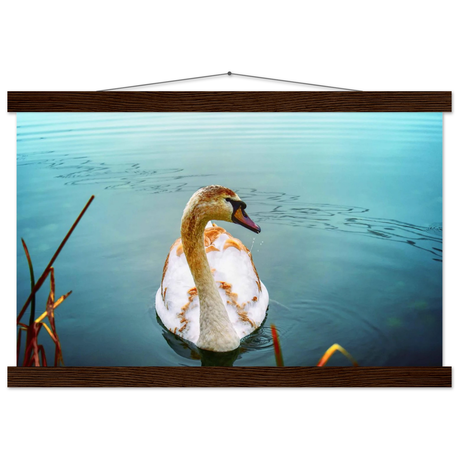 e17162aa-8b95-46a5-b59e-74228ae5d855