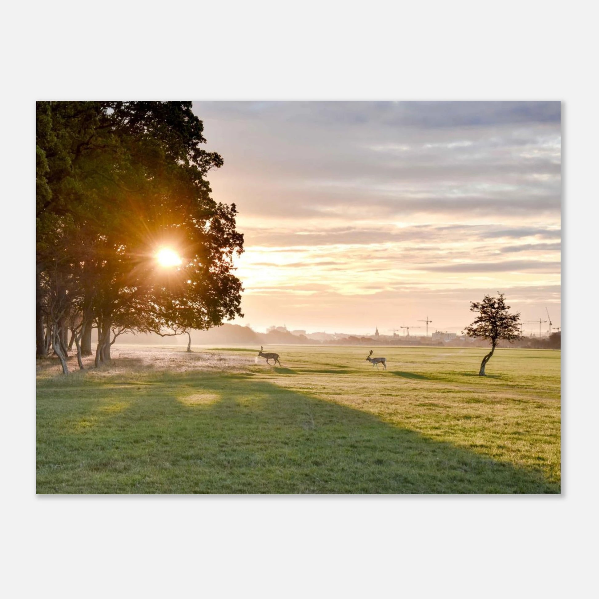 e17a6b06-3976-49e7-b503-34e93cf4c699