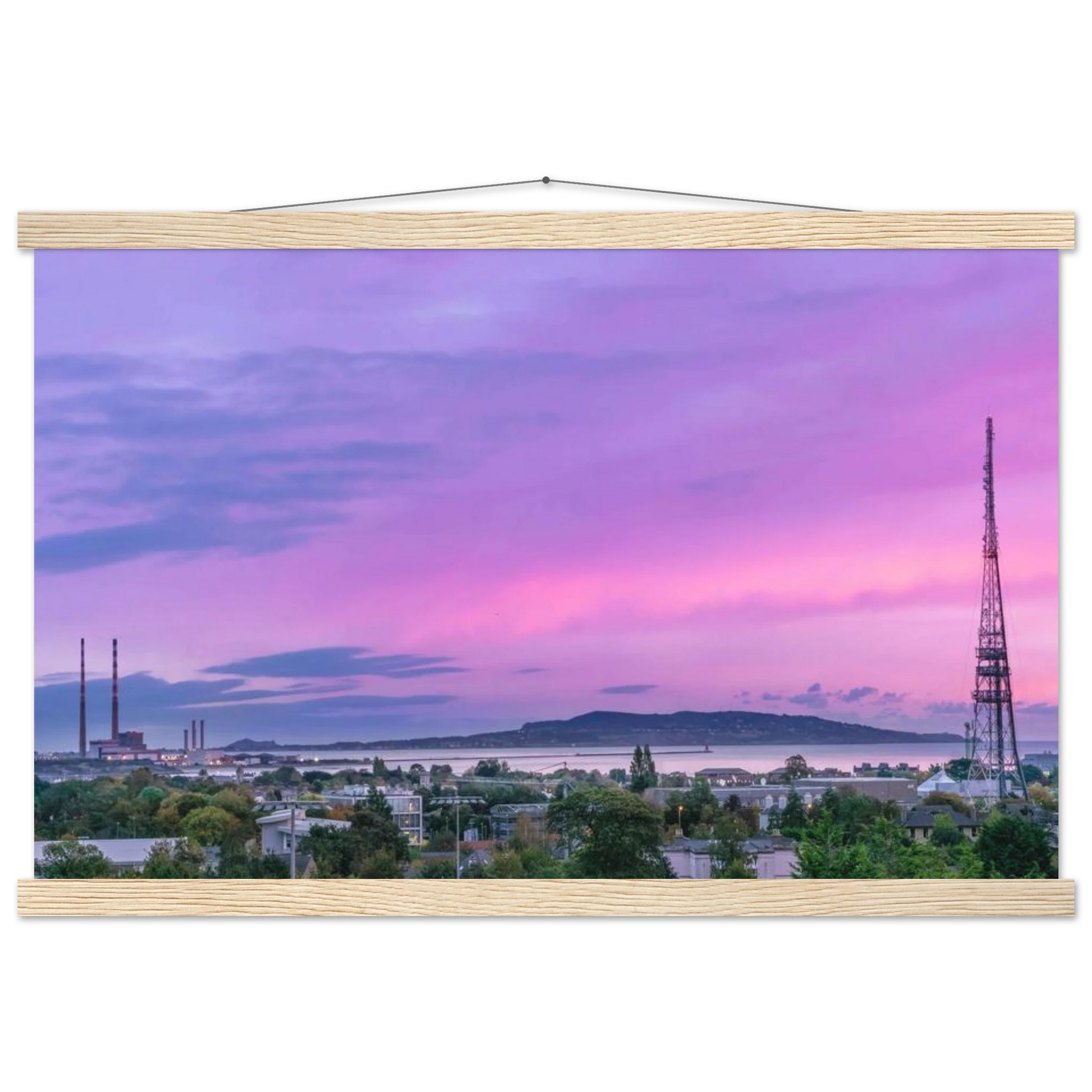 e19dfefd-4ec0-4663-b7f6-790b0bb8b9a4