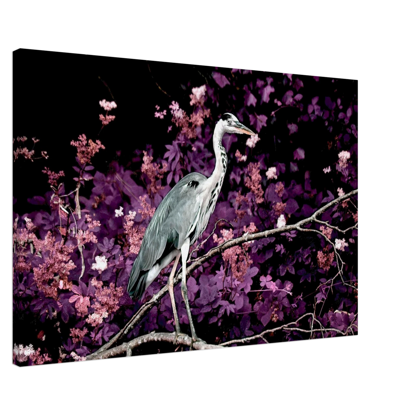 e1be5083-8ffe-4904-a7d8-0ce807be13ef