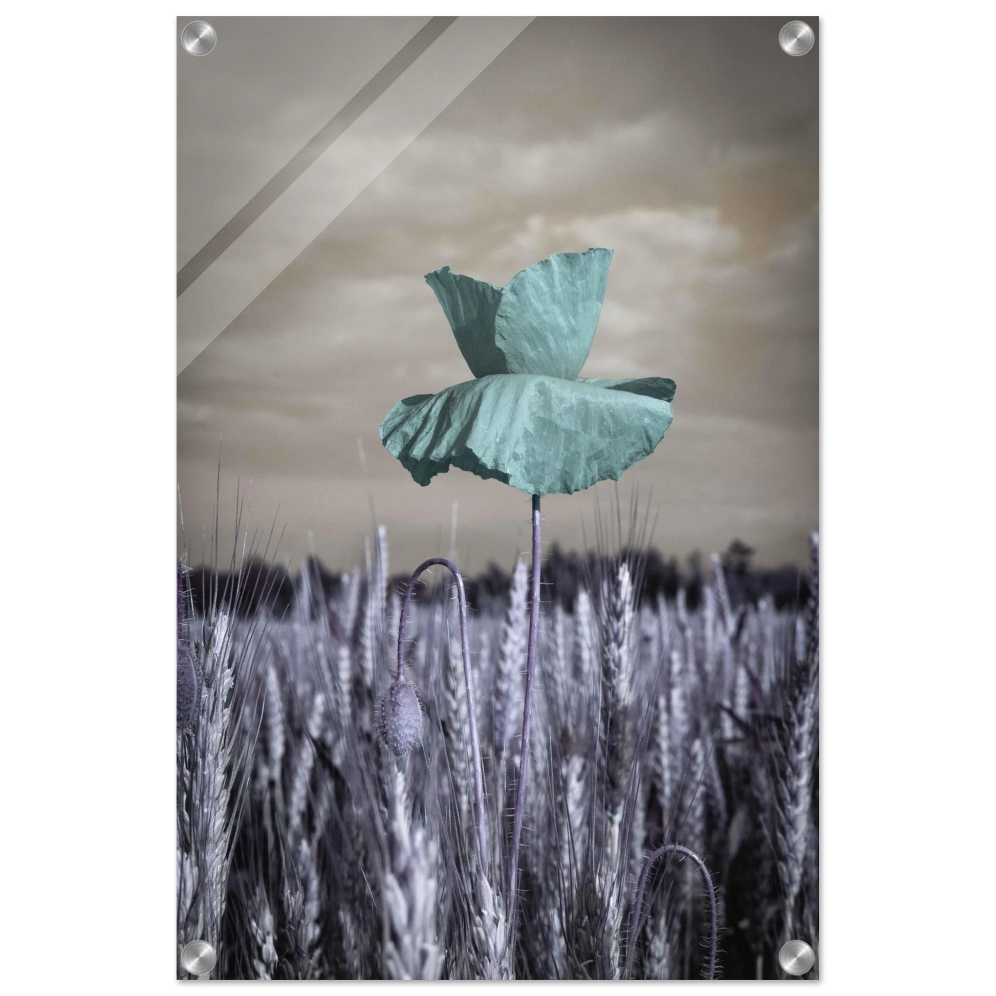 e1c59d2c-8b82-4f1e-8d5d-b8ec463bfdbb