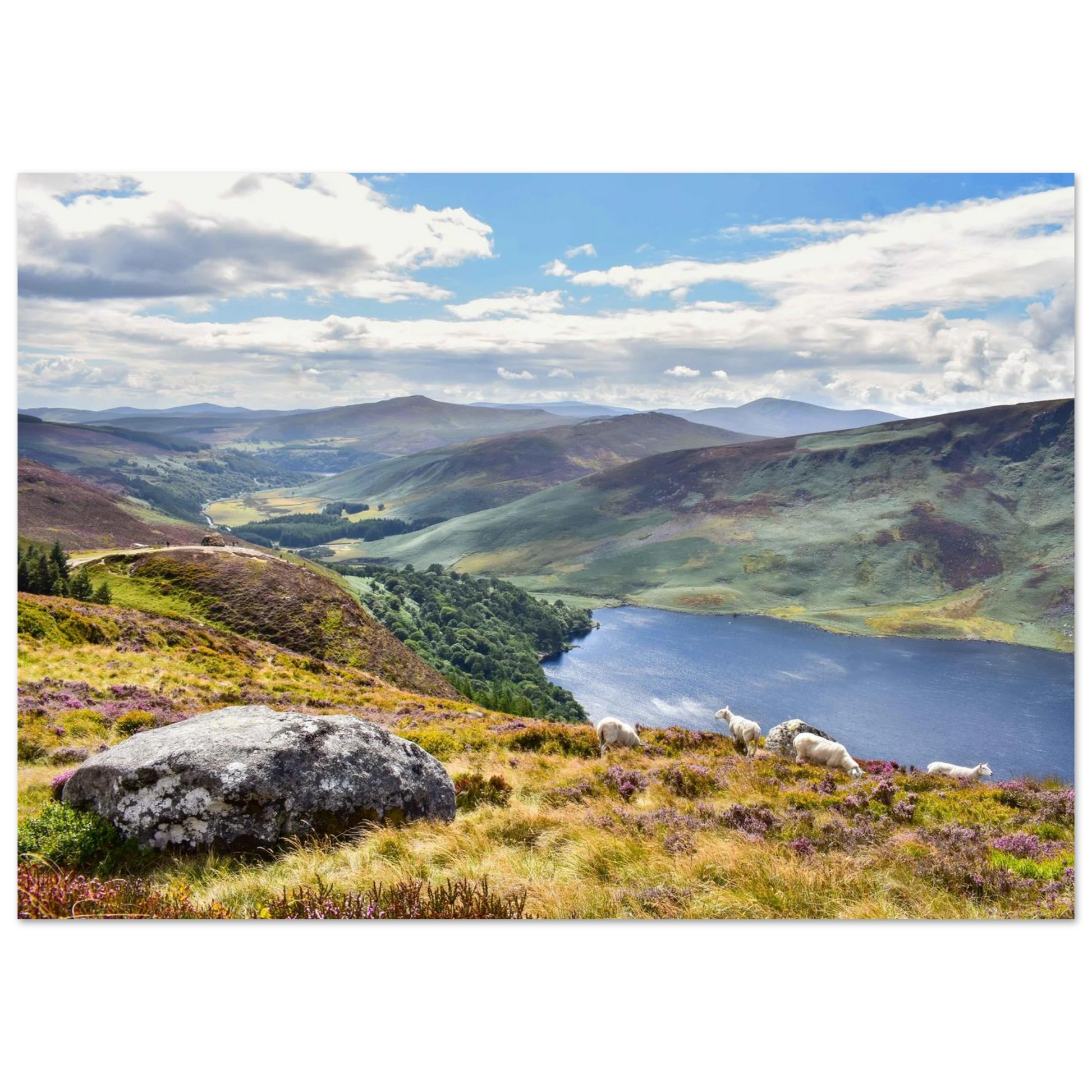 e1c94262-d6a4-4307-ab27-5a66727bf476