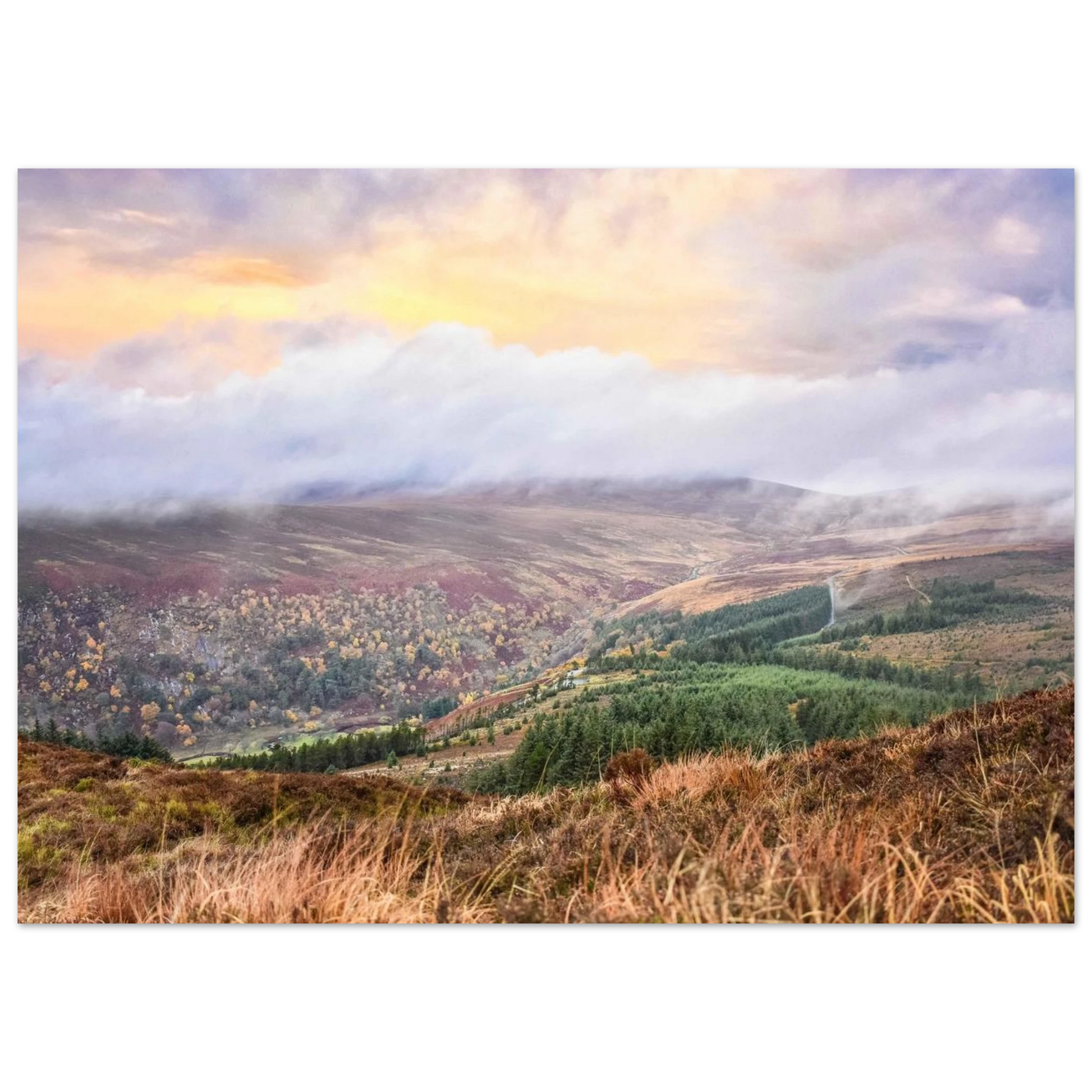 e1fa16b1-a3ea-452b-97dd-5940acb044e0