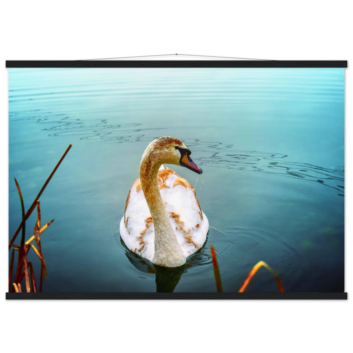 e211507d-3c3a-4369-9e9c-4ed5923c5e9c