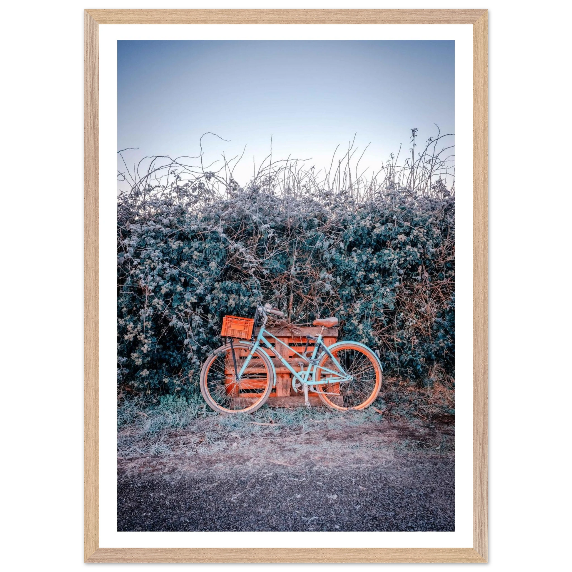 e26f7125-178e-44b5-ae31-2bbdd5395eec