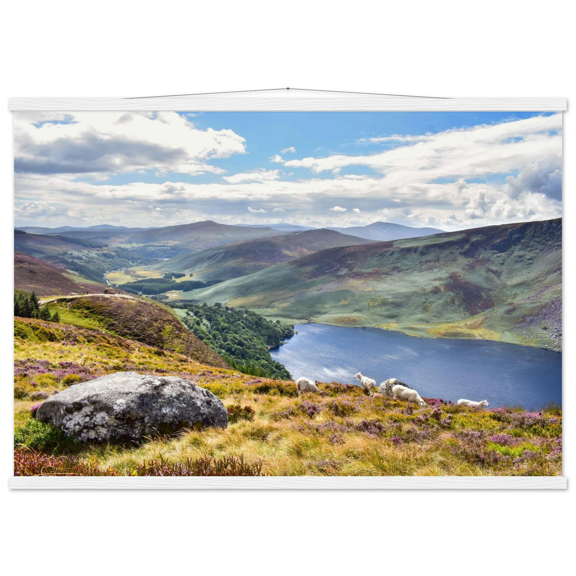 e2a07393-17c0-43de-a789-eb7ad6b0e554