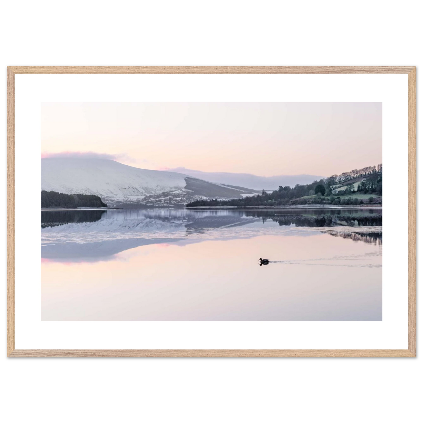 e2d5f8e6-95bb-4b7f-8bd1-f1cc4c347b8a