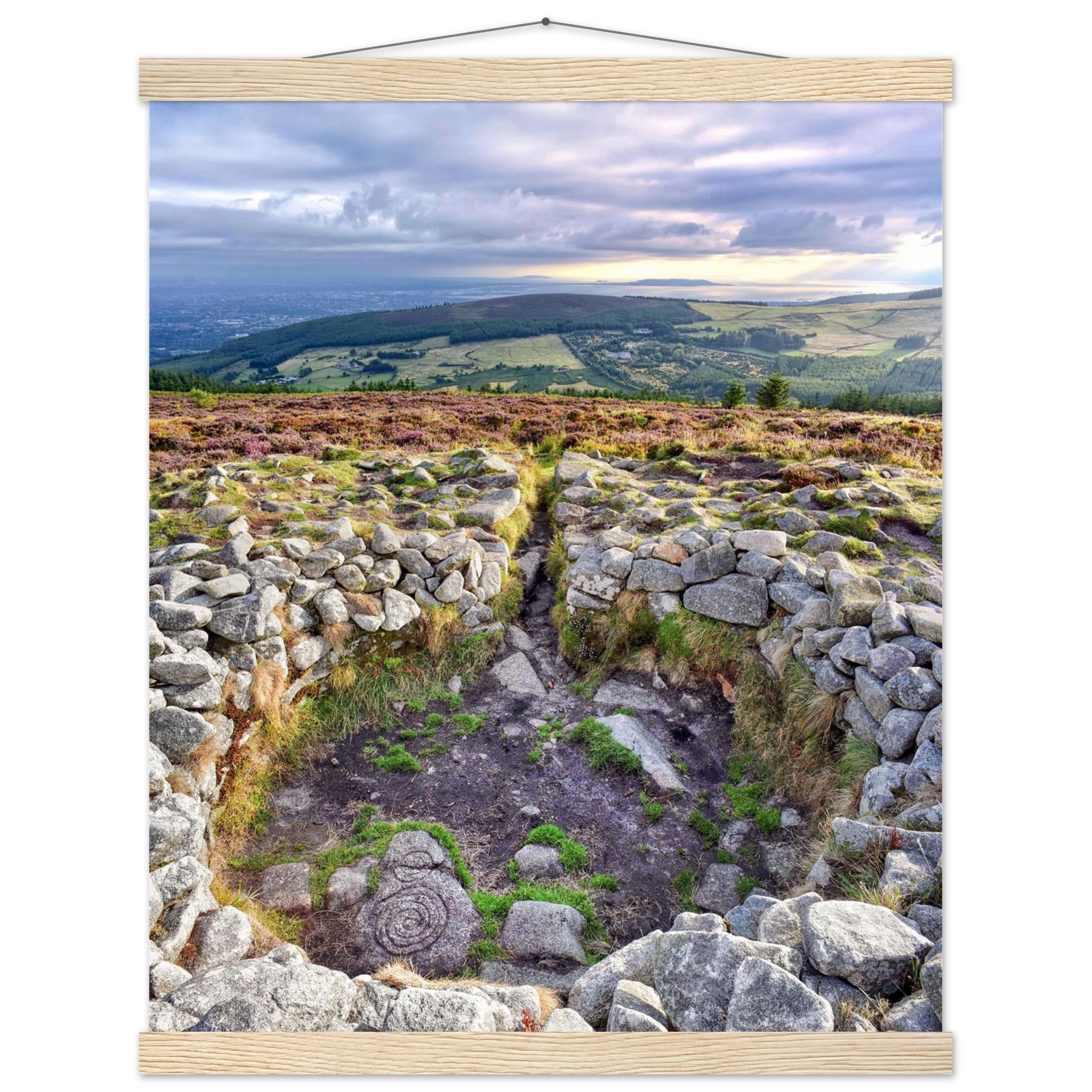 e2f6711a-b5db-439a-8d33-ecc00ab5f0bc