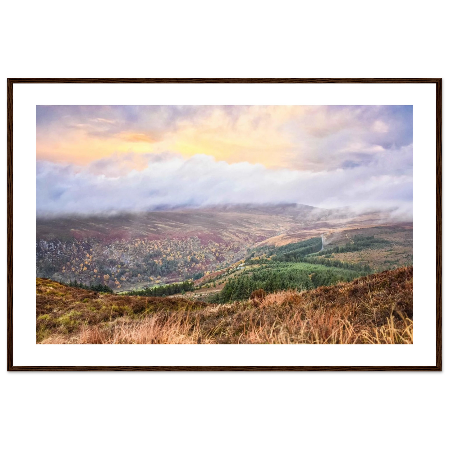 e30dcbe5-50c2-486a-a2ae-704f34319230