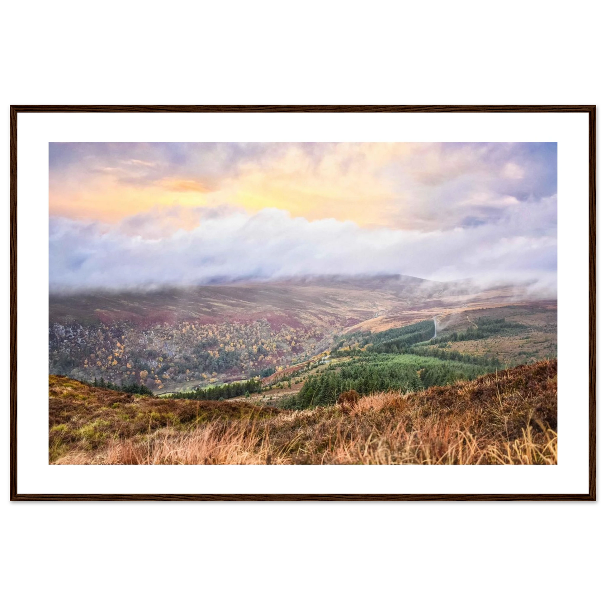 e30dcbe5-50c2-486a-a2ae-704f34319230