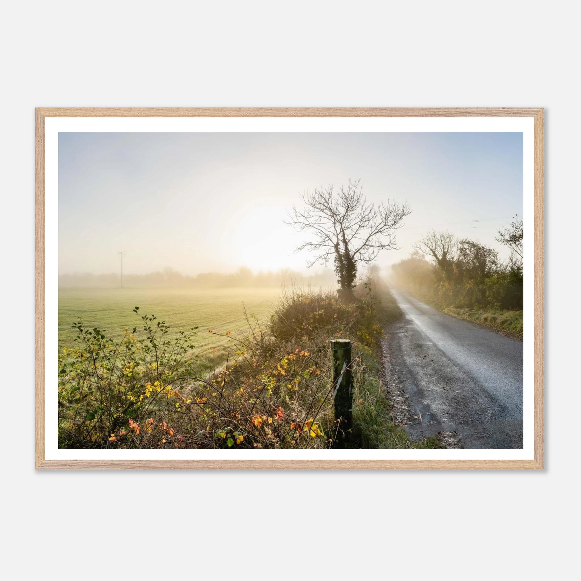 e3e37fa3-5abe-4a5d-8ba6-012526576743