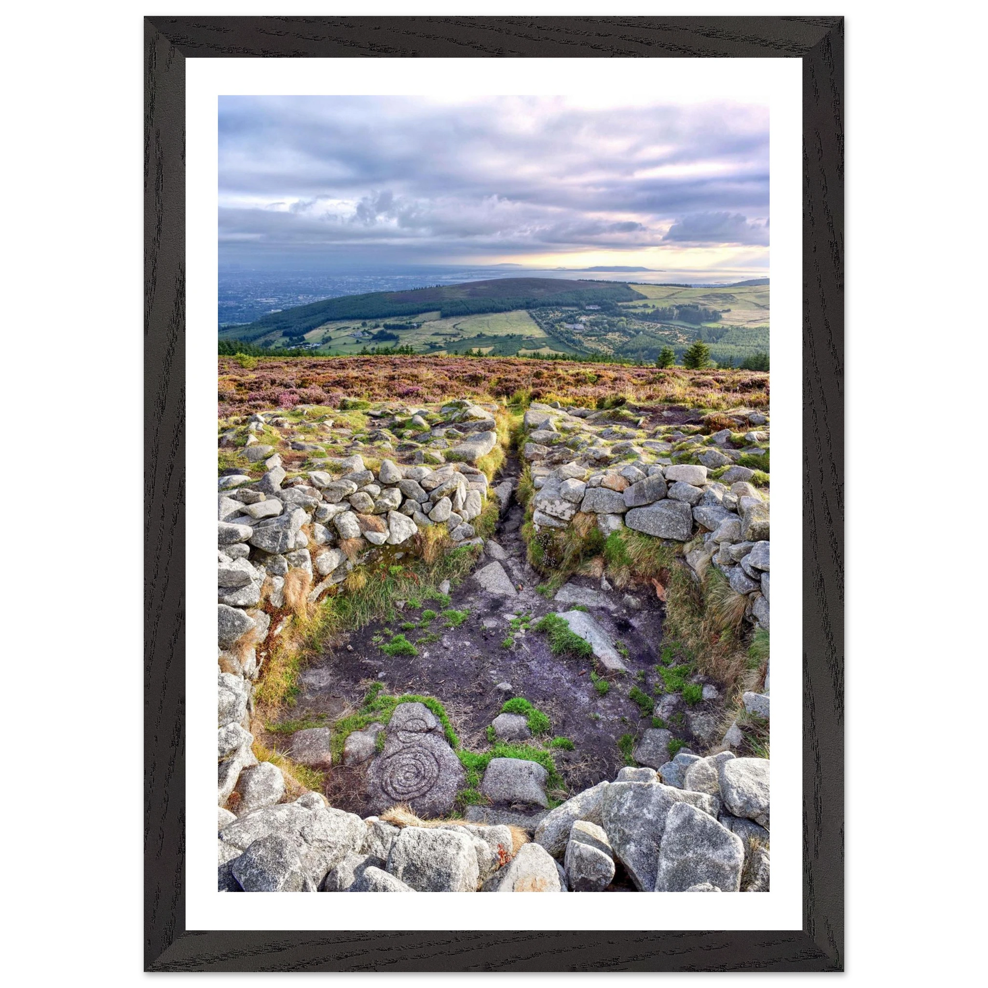 e45422ac-63f5-4efc-af4d-032d03c1d346