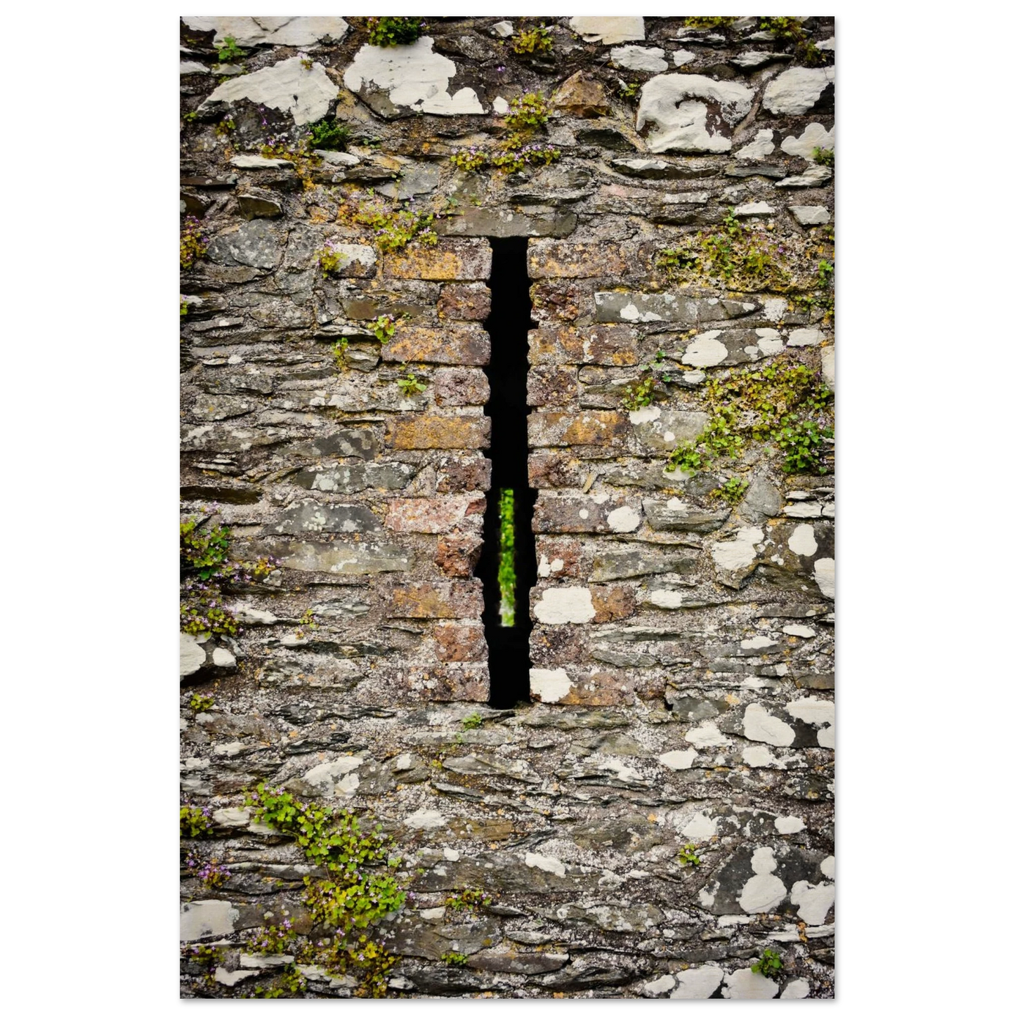 e4662006-d598-464a-b6ae-fe2b41f6ce60