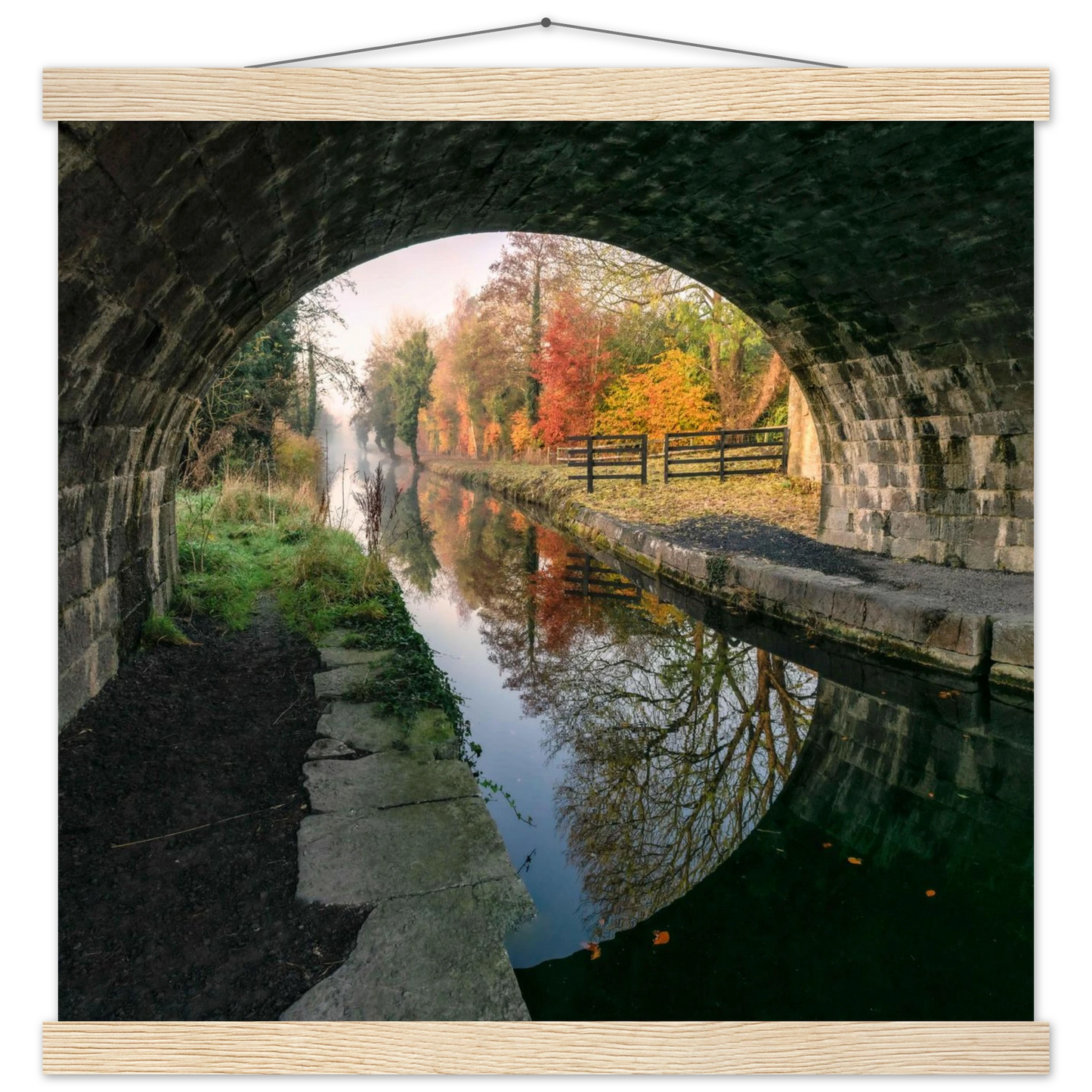 e48d1454-bf24-4069-980b-ba1c95ab5cef