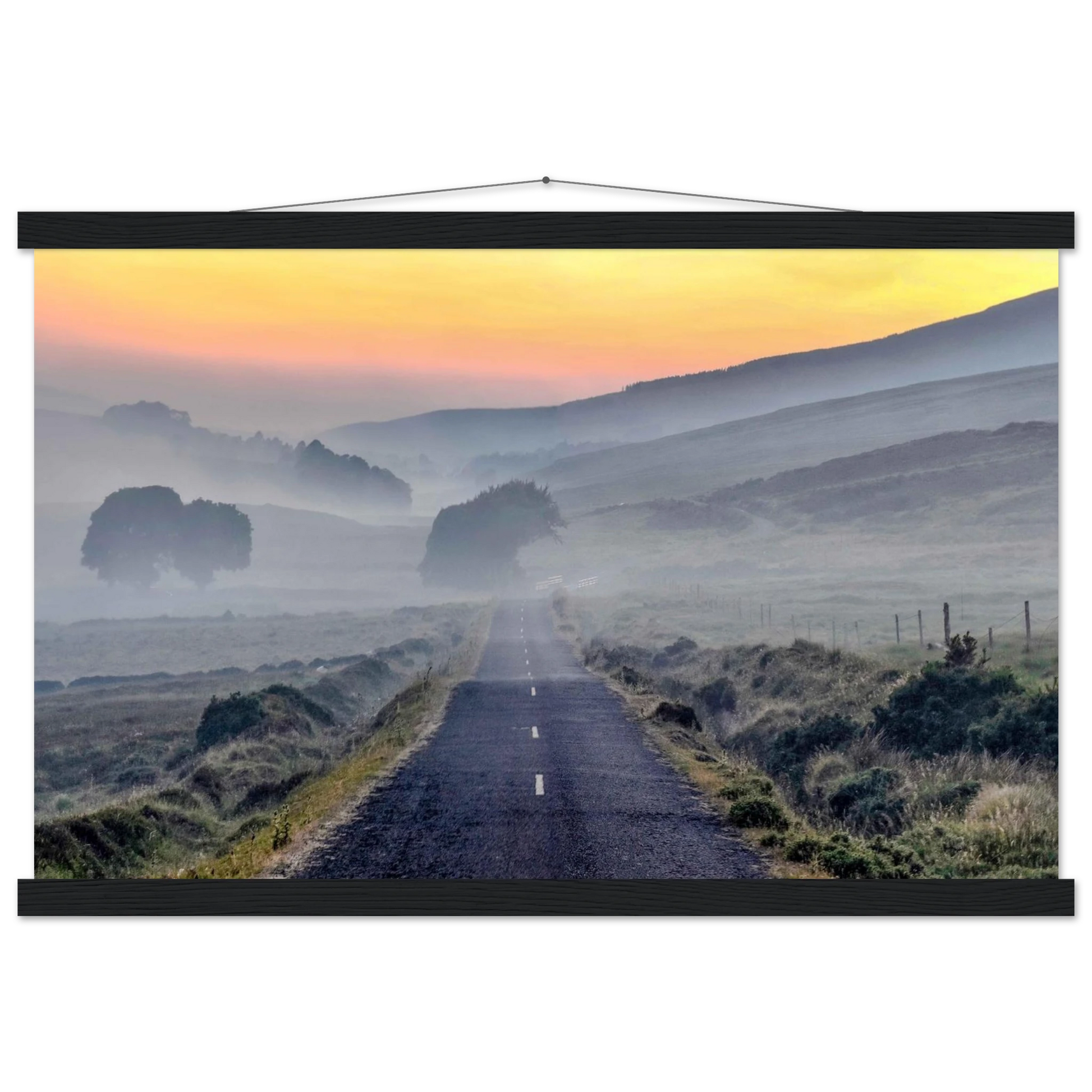 e49d3cde-8874-4664-b87a-0454c4444111