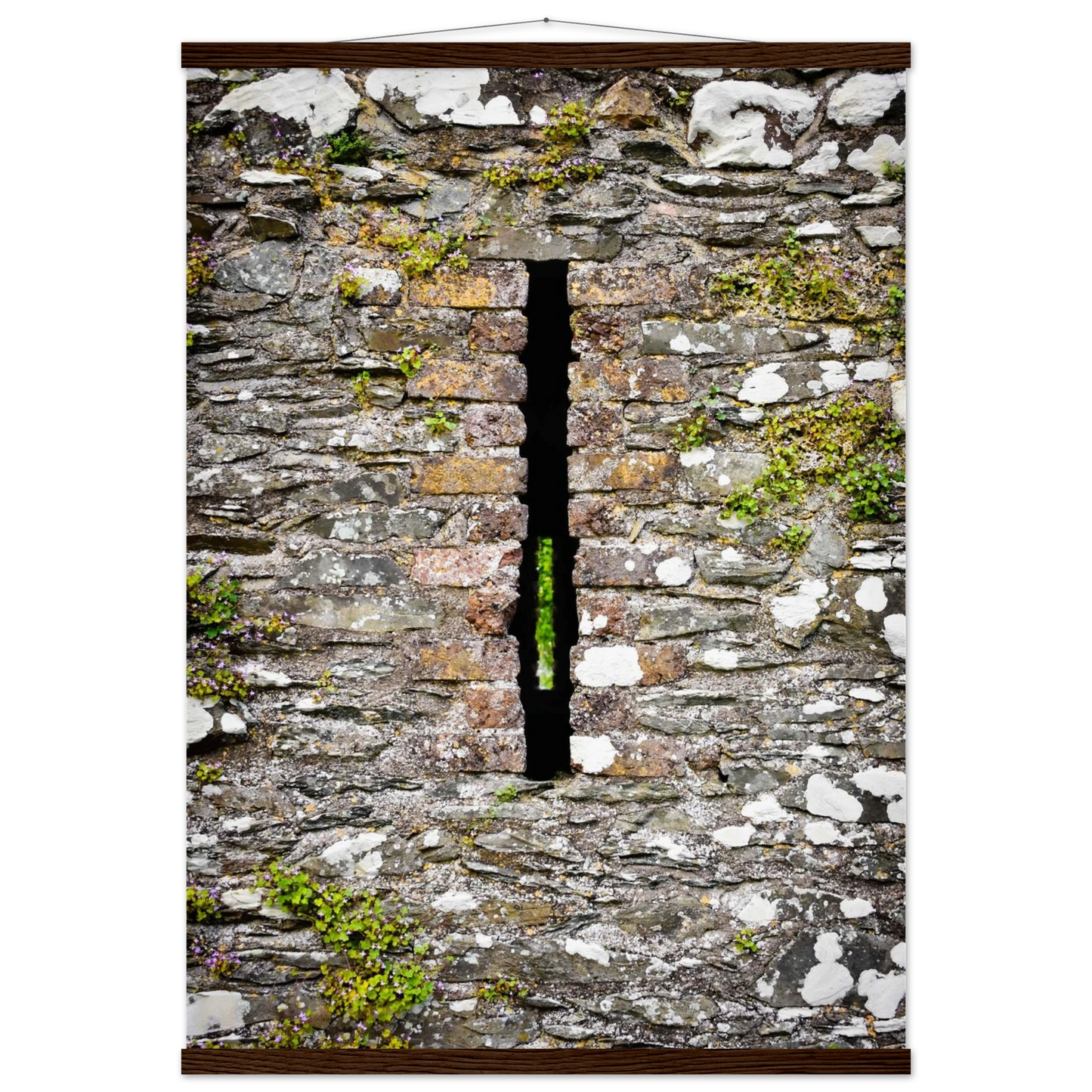 e4ad130b-0031-4b8e-8dd1-43d9bdfb869a