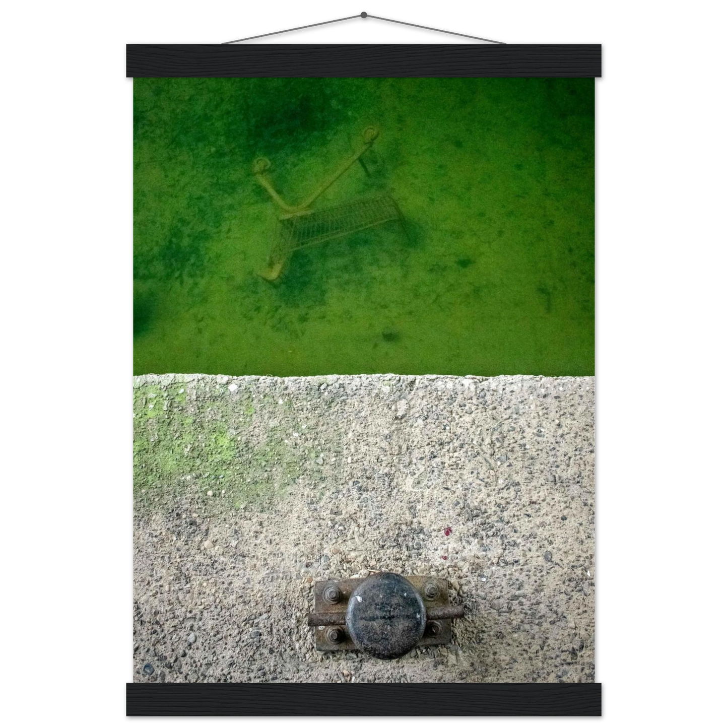 e56da50a-eebe-44fa-a740-dc22f8265f30