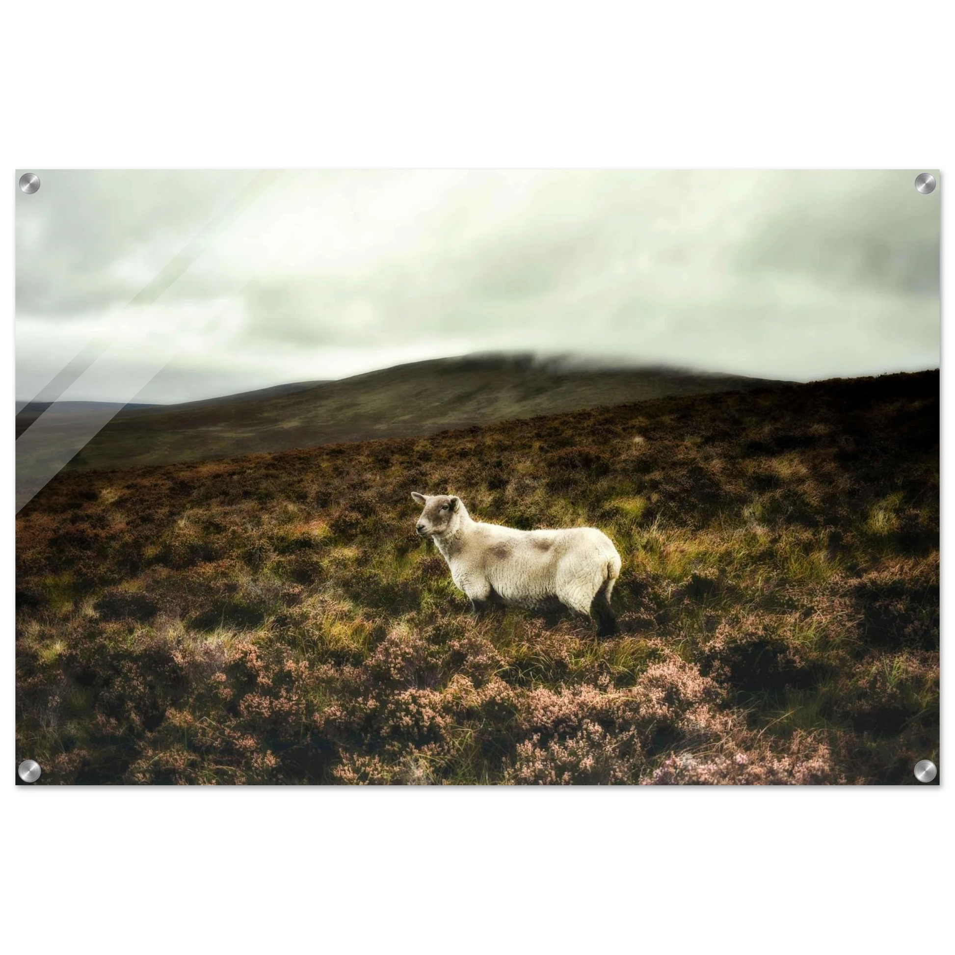 e6489f9d-17ac-4047-8c94-cb248b460931