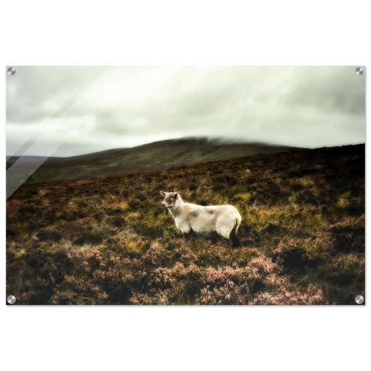 e6489f9d-17ac-4047-8c94-cb248b460931