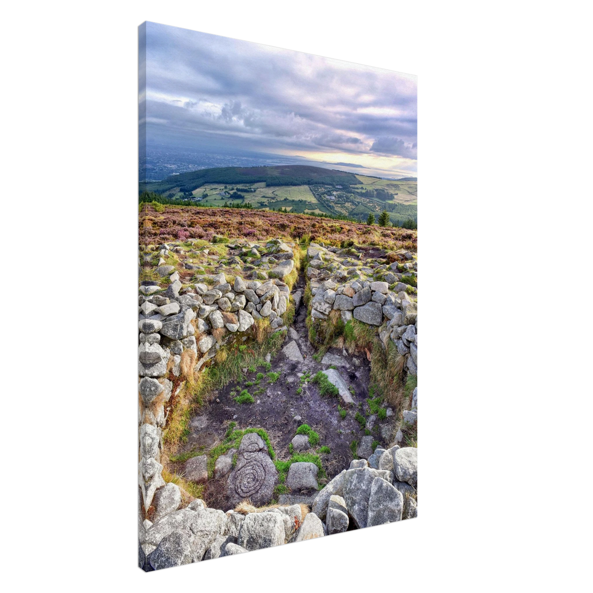 e695e614-9919-4e60-b6c2-2273d6a9db6e