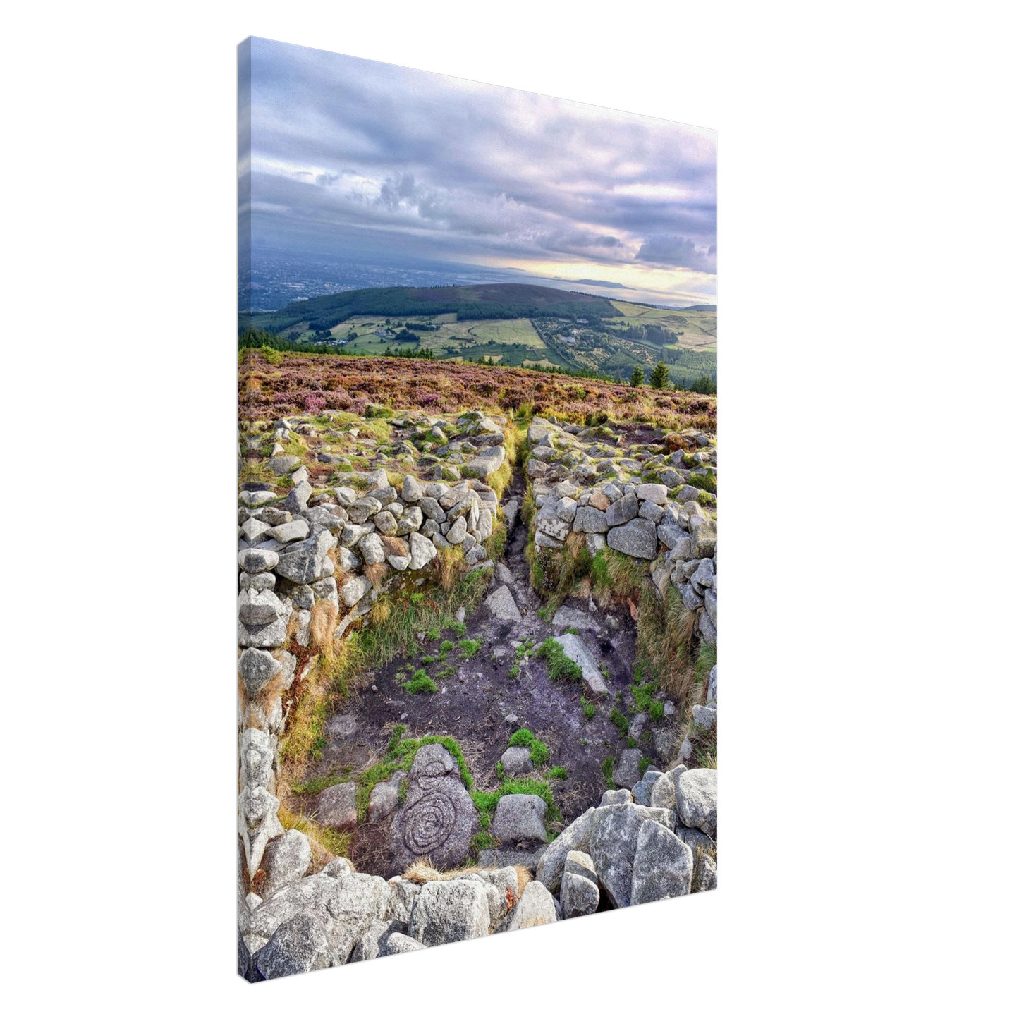 e695e614-9919-4e60-b6c2-2273d6a9db6e