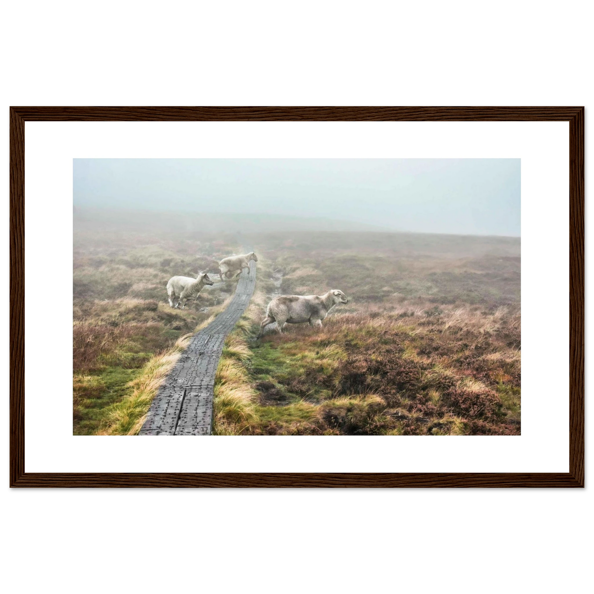 e6e2971d-6bf9-44c0-8da4-e20f674b6299