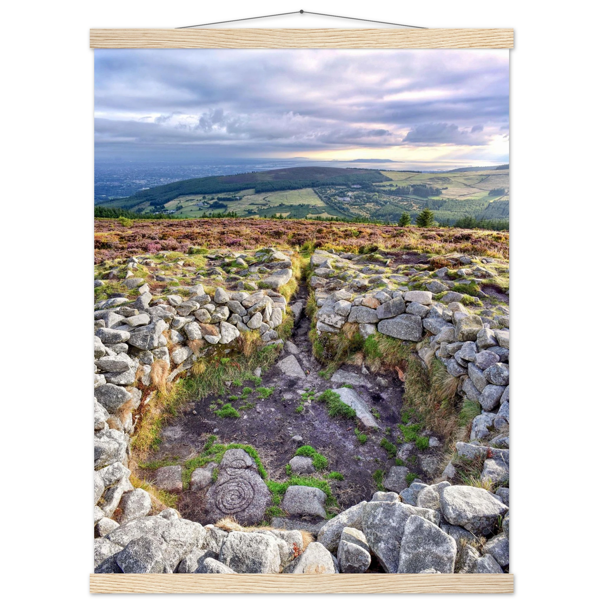 e7050203-ad70-41da-9c19-58fe8fa6e7e6