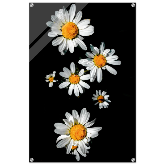 e728c3f8-2412-495d-9619-5cf76cdb2c6c