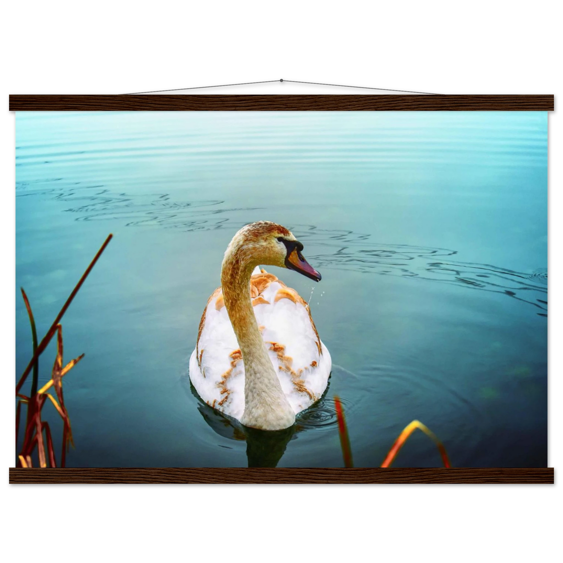 e7c51c41-935c-4e43-bdfd-33d4e8b194b1