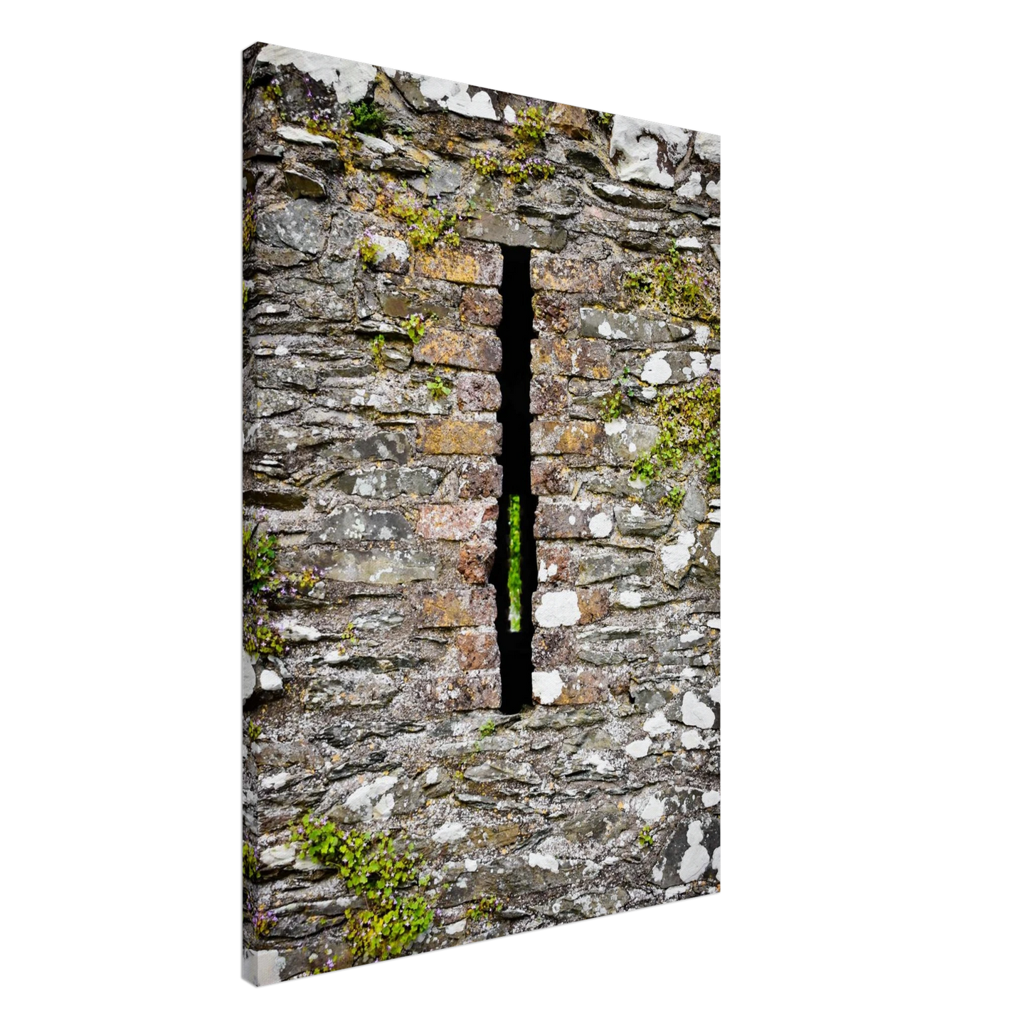 e7e74564-c0b0-4850-b9cd-f69900756c2f