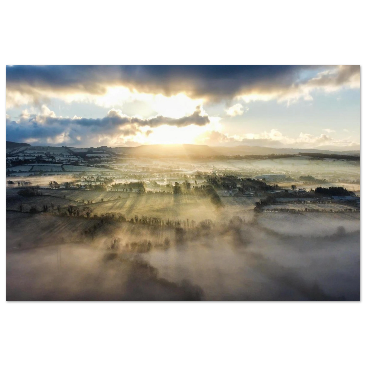 e8b7e872-d818-4a95-8155-84d1b5b7ee69