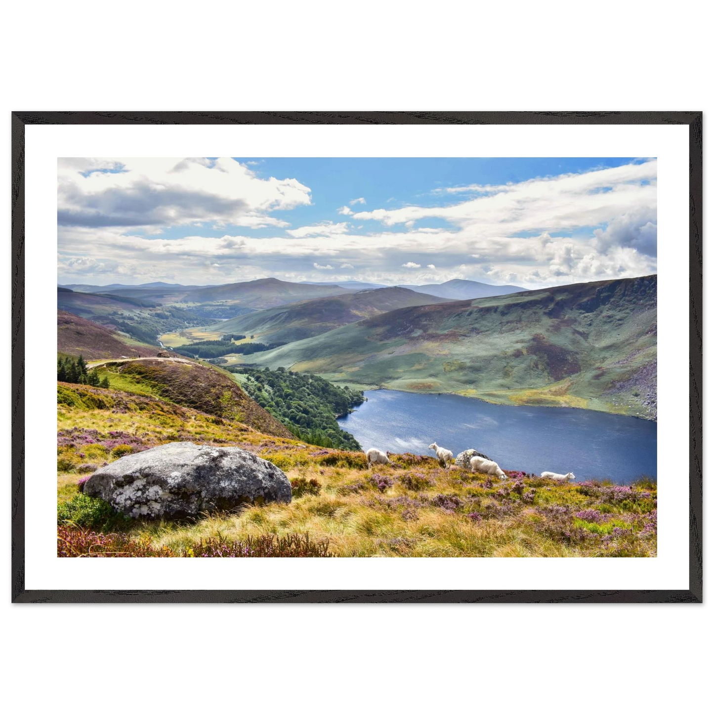 e919a302-092b-455e-8888-821a089477d1