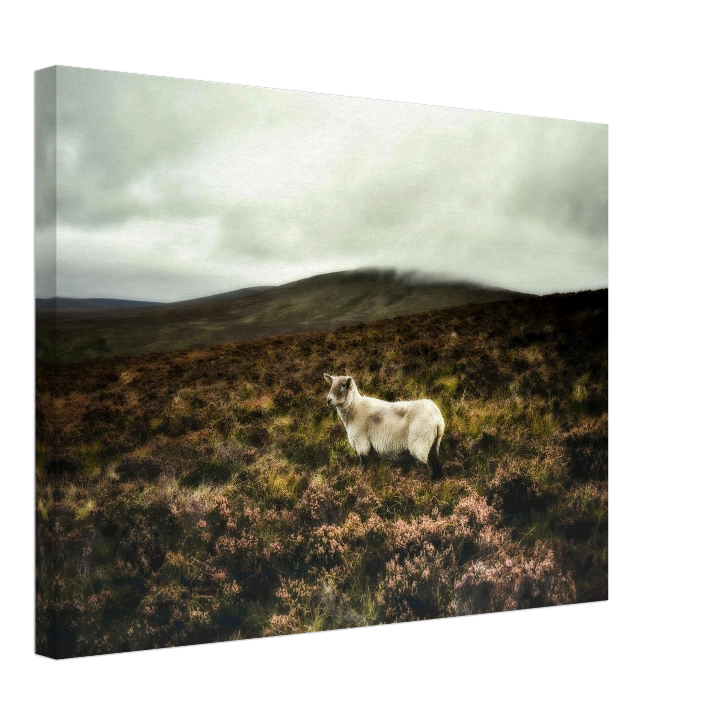 e9b90a7c-3053-42af-948c-96a848e9a181