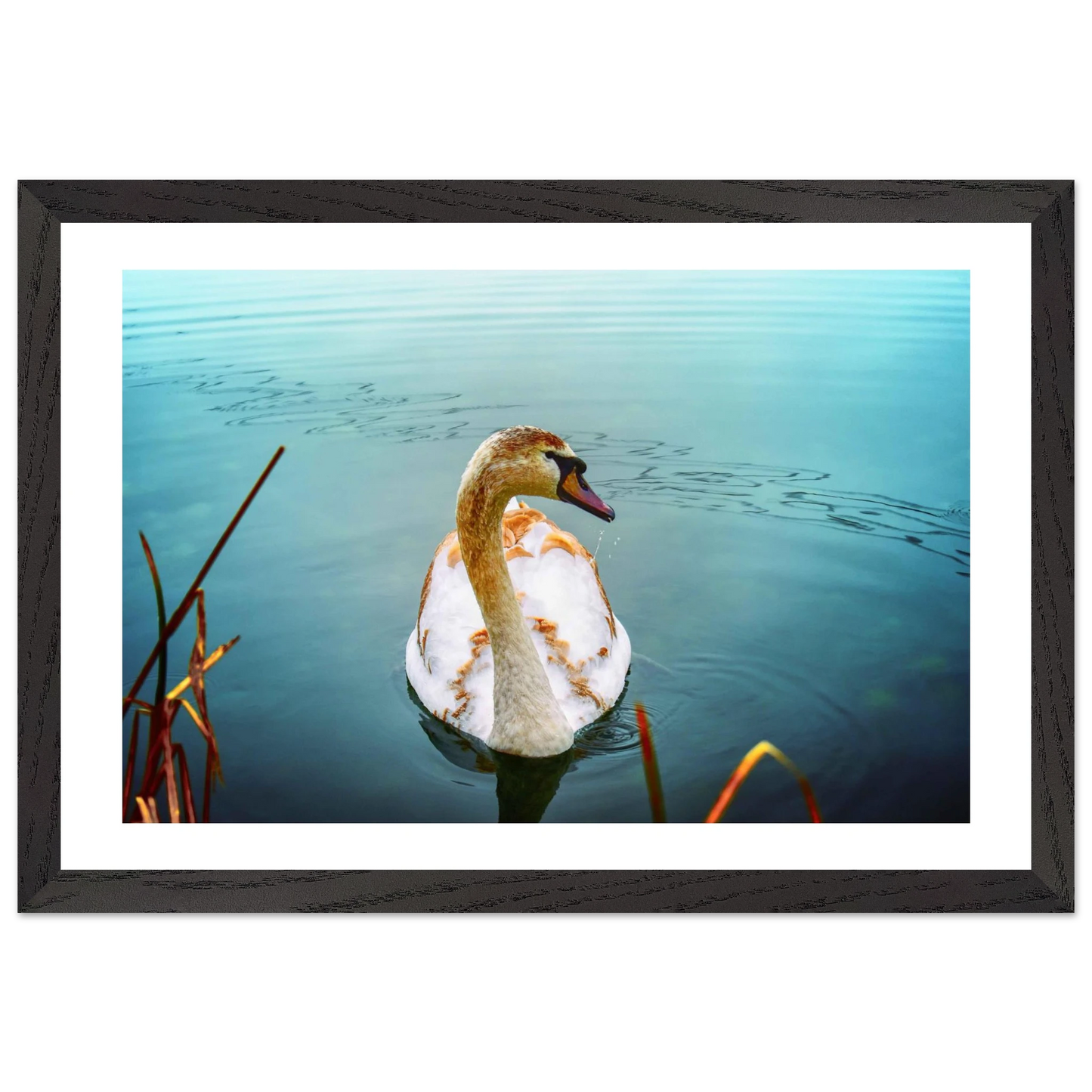 e9ca2d6e-fc1c-49cc-85ef-8fc340f3fec7