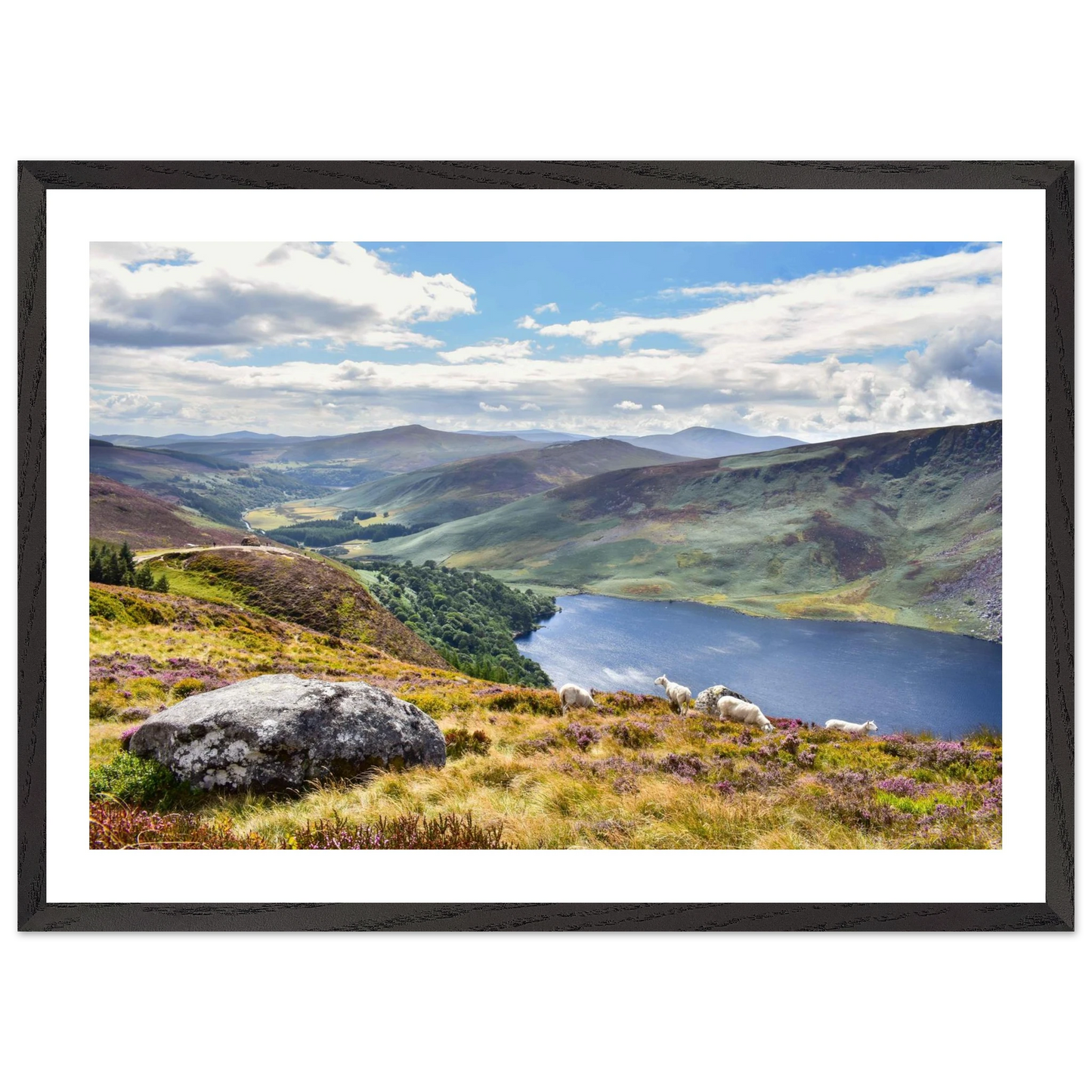 ea06a1d9-07d1-49c1-a0a1-49e6bb17cdce