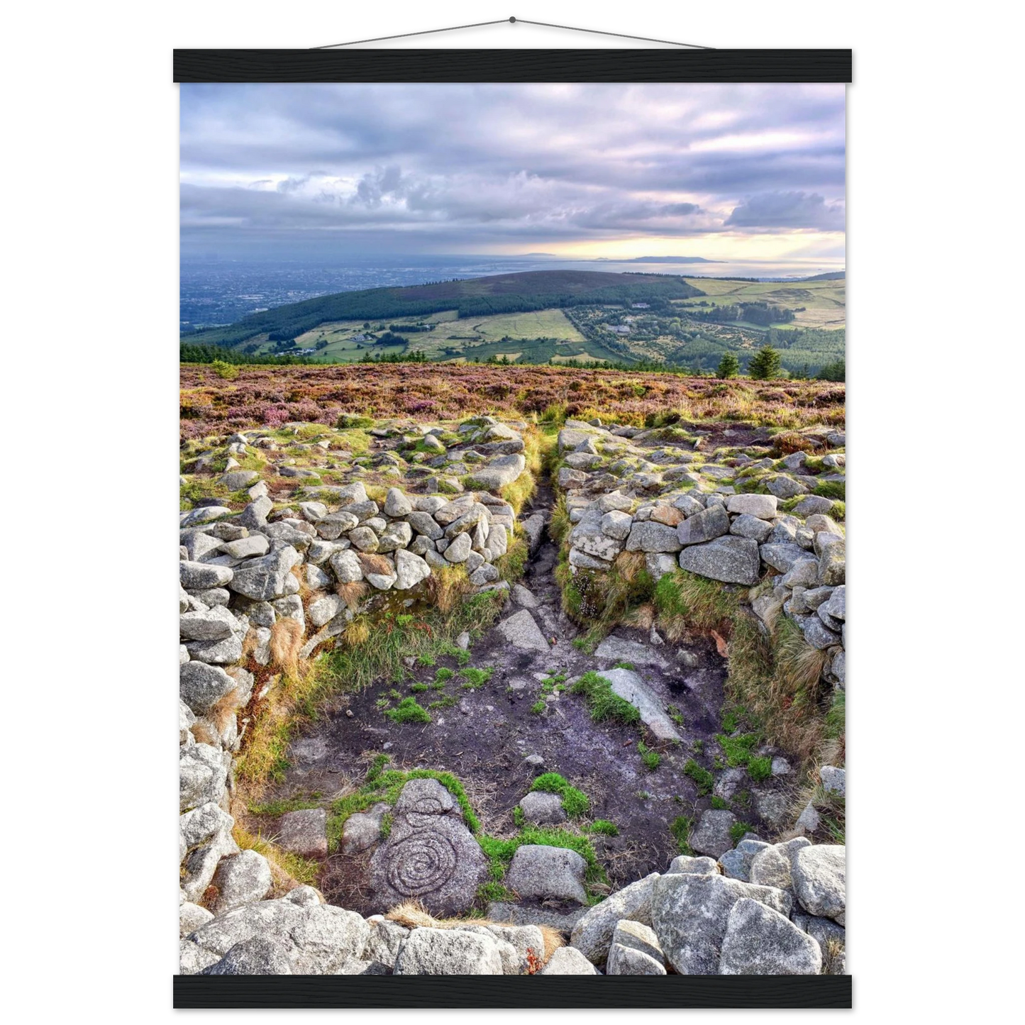 ea452865-c475-4b7b-82e4-cebf6ef4f4c9