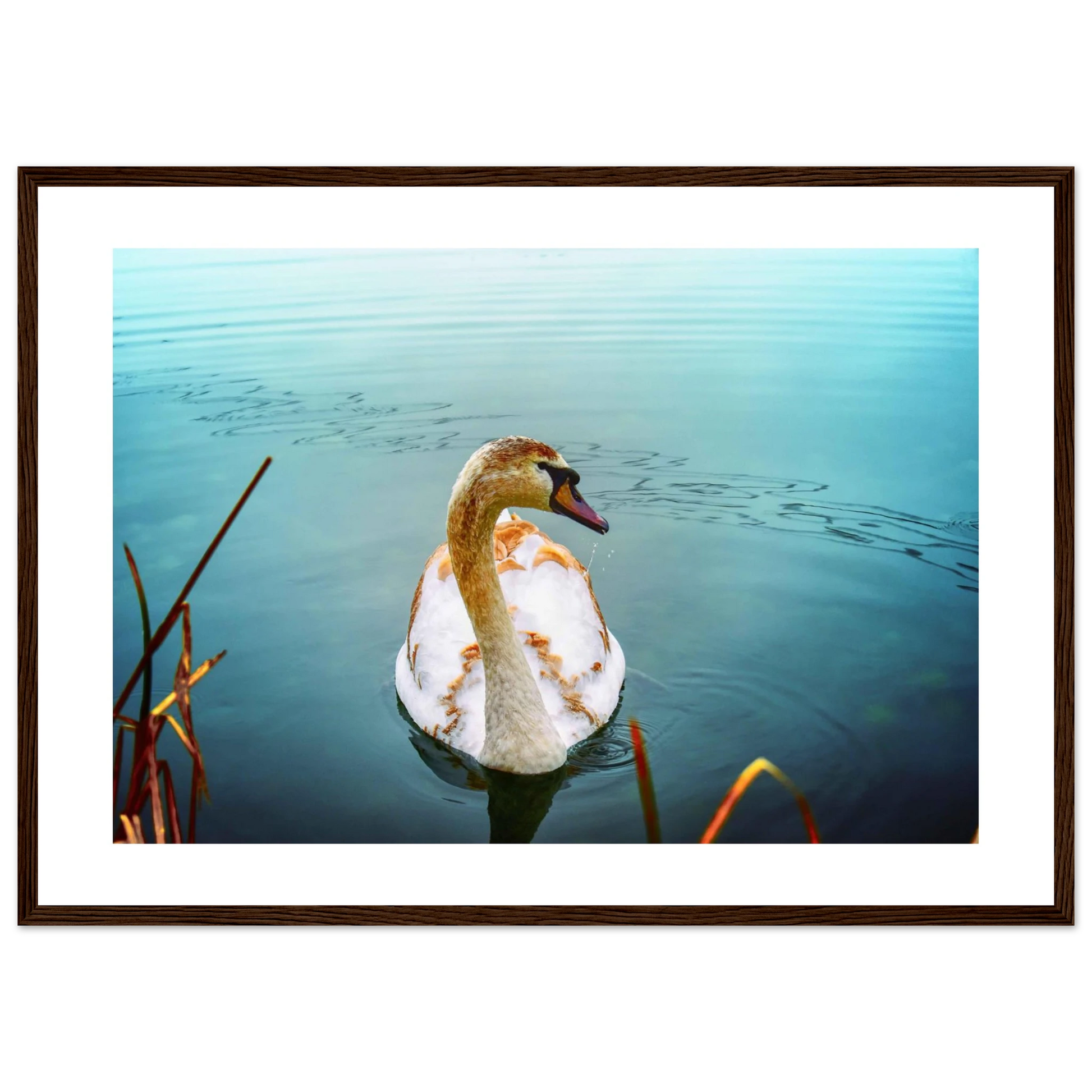 ea4c9704-74a3-4477-9f76-43df63e059d3